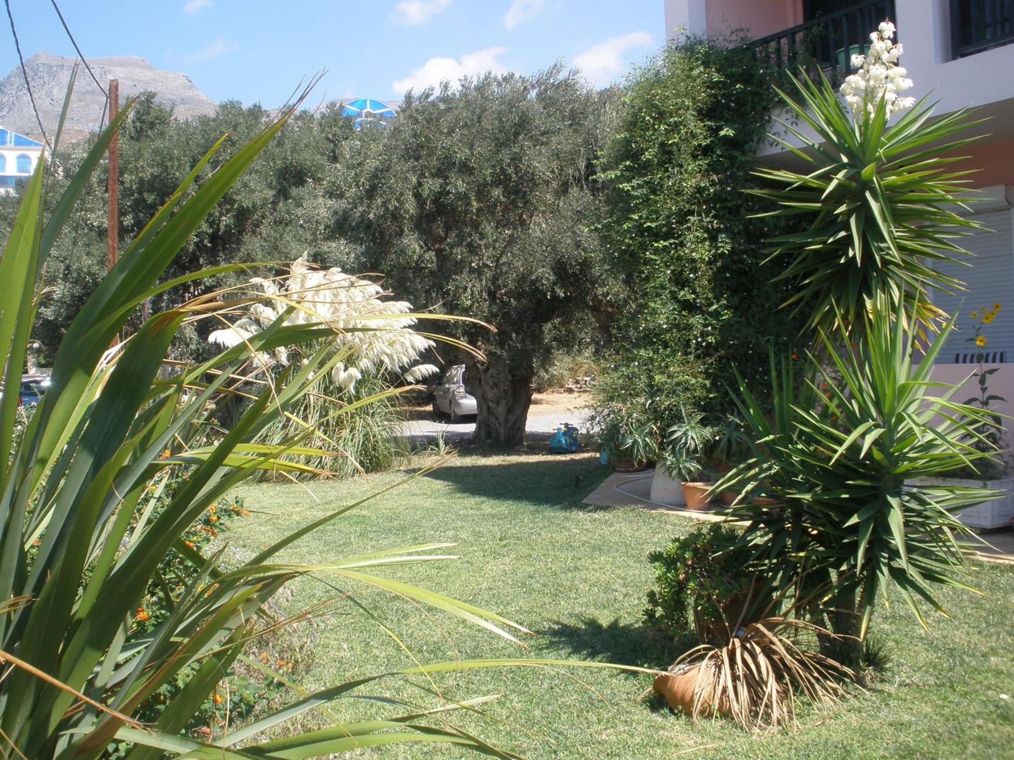 Livadi Plakias