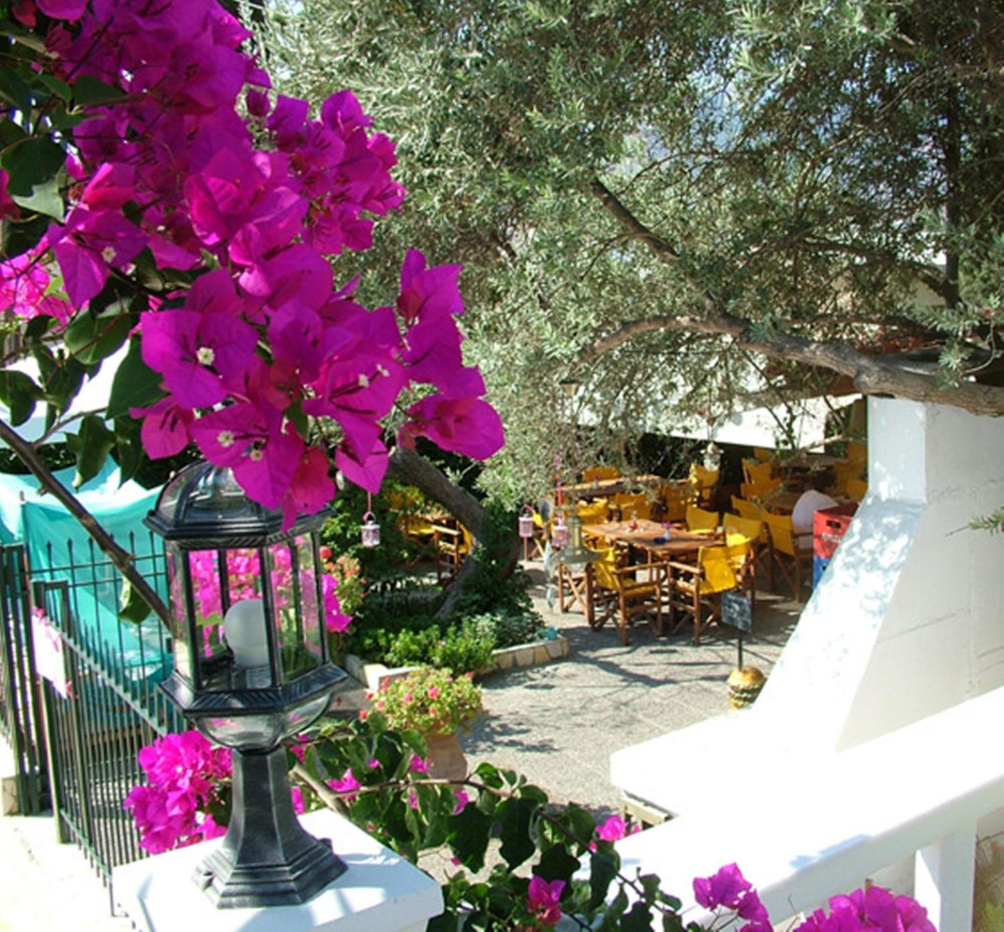 Aparthotel Dolphins 5*