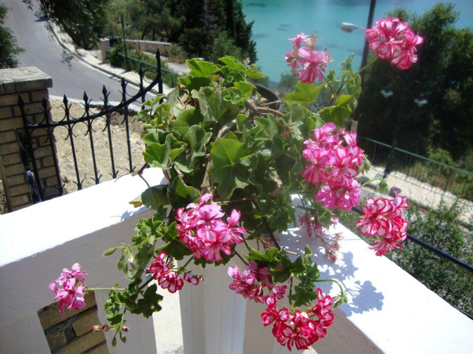 Apartment Anthimos Paleokastritsa