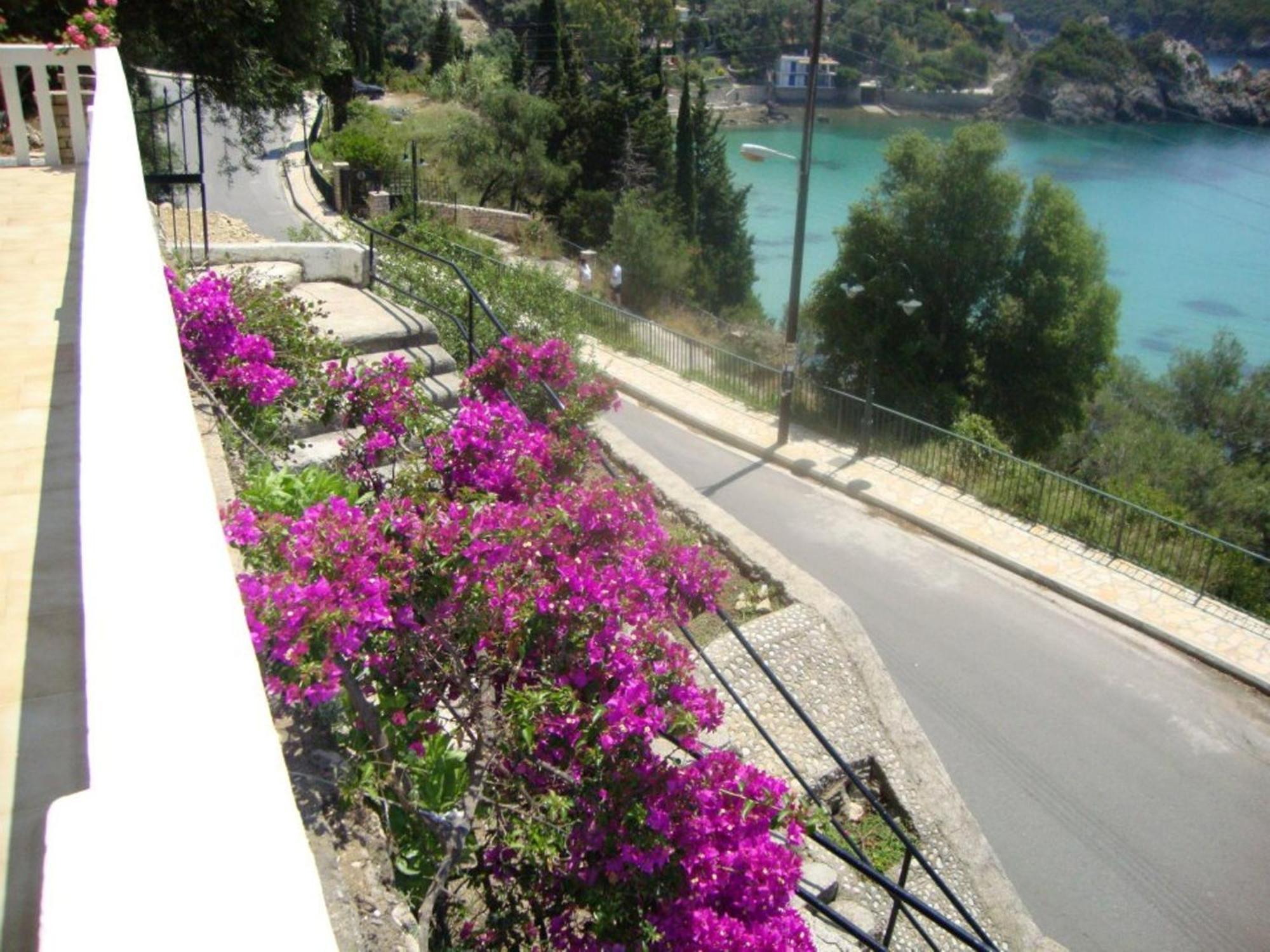 Apartment Anthimos *