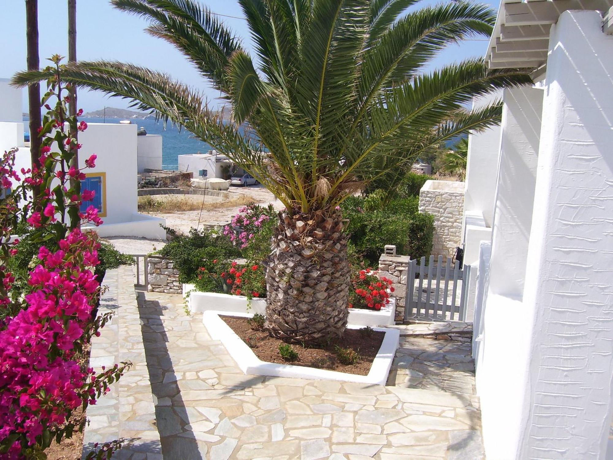 Aparthotel Despina's Mare 3*