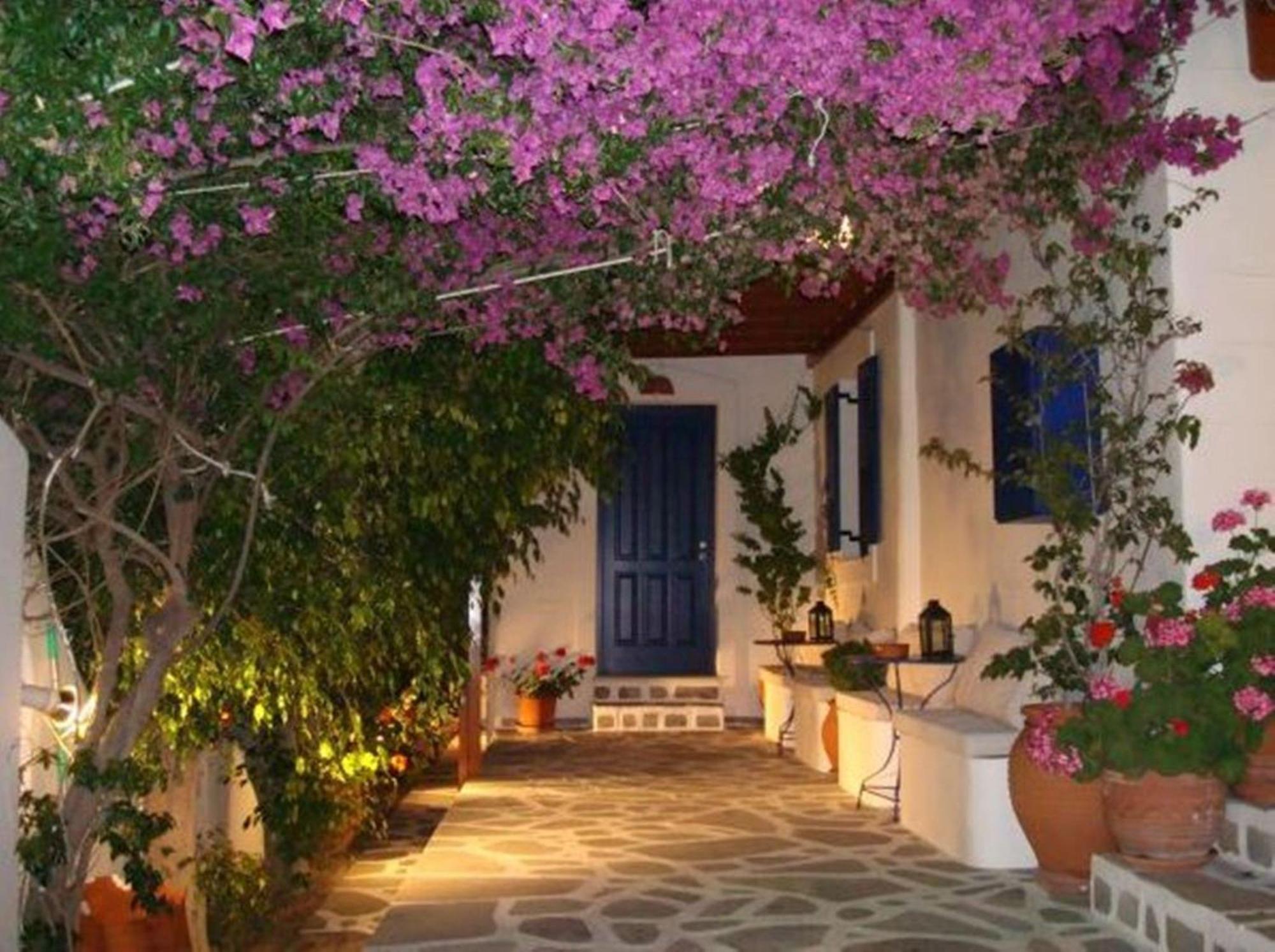 Apartment Nostos