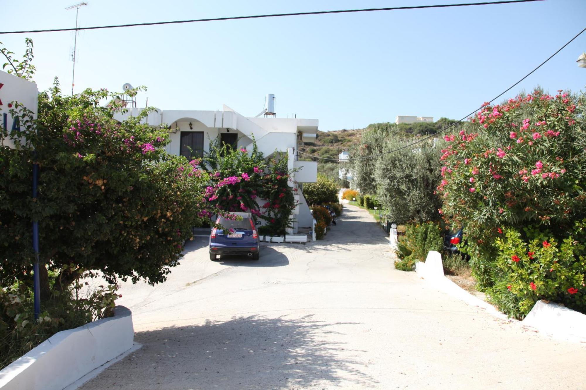 Hotel Despina Afantou