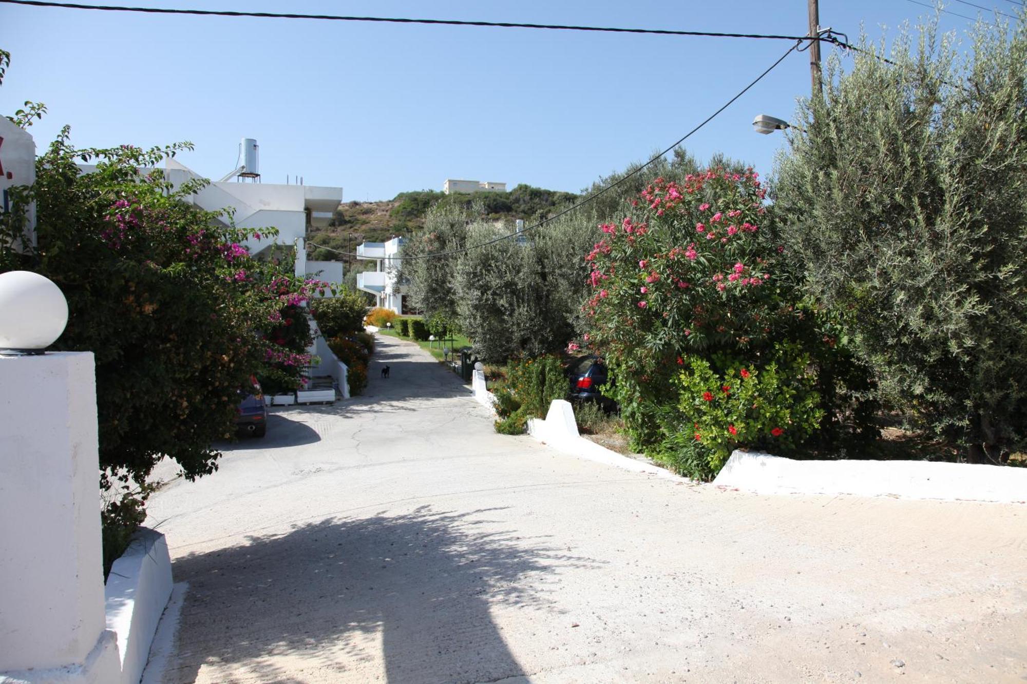 Hotel Despina Afantou