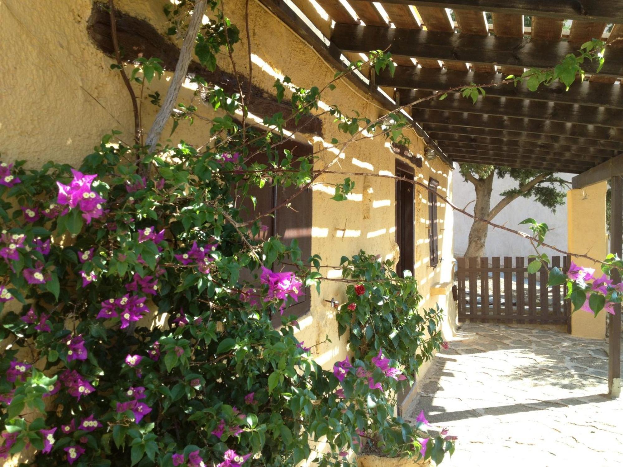 Aparthotel Traditional