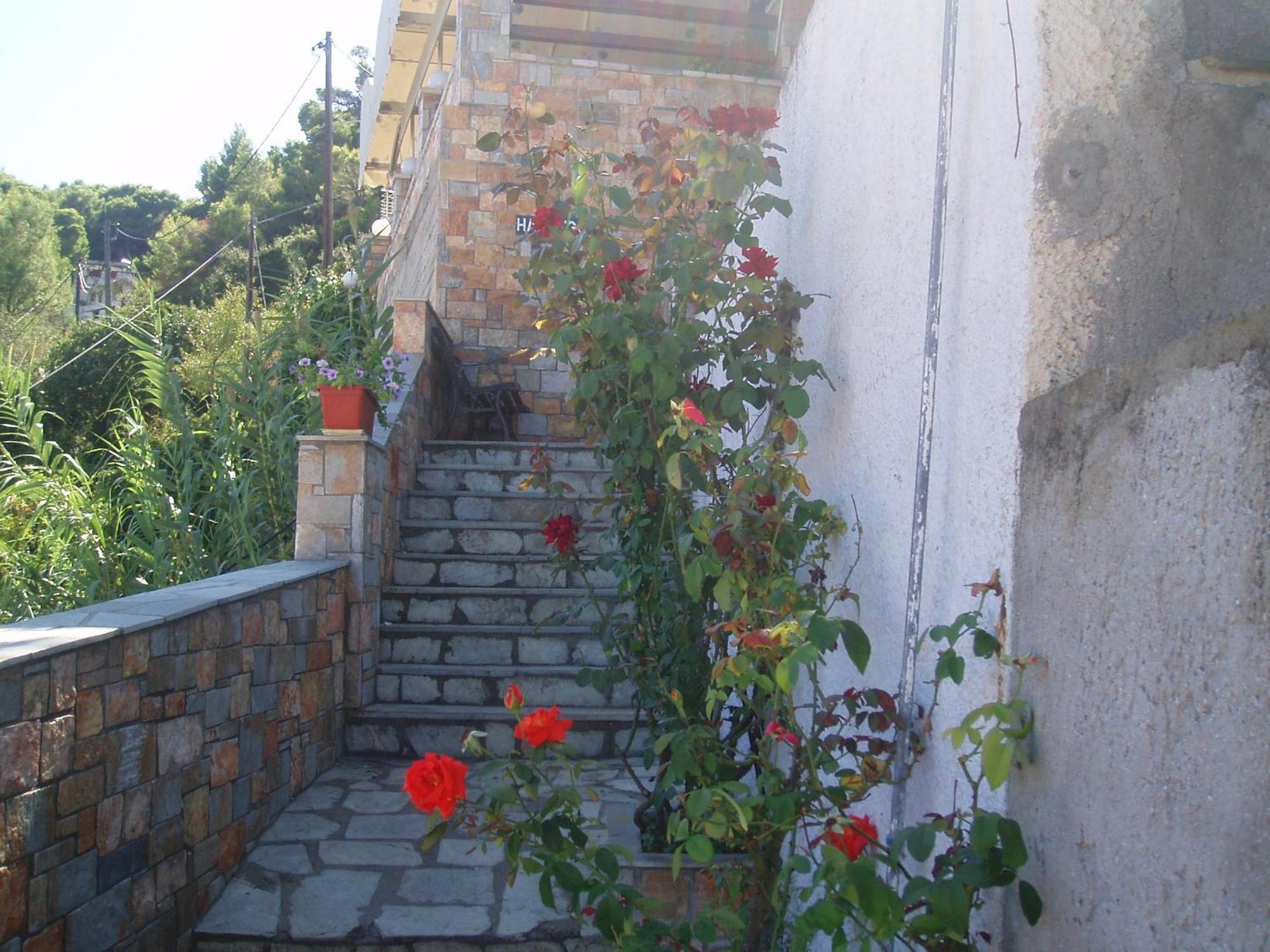 Hotel Haravgi 2*