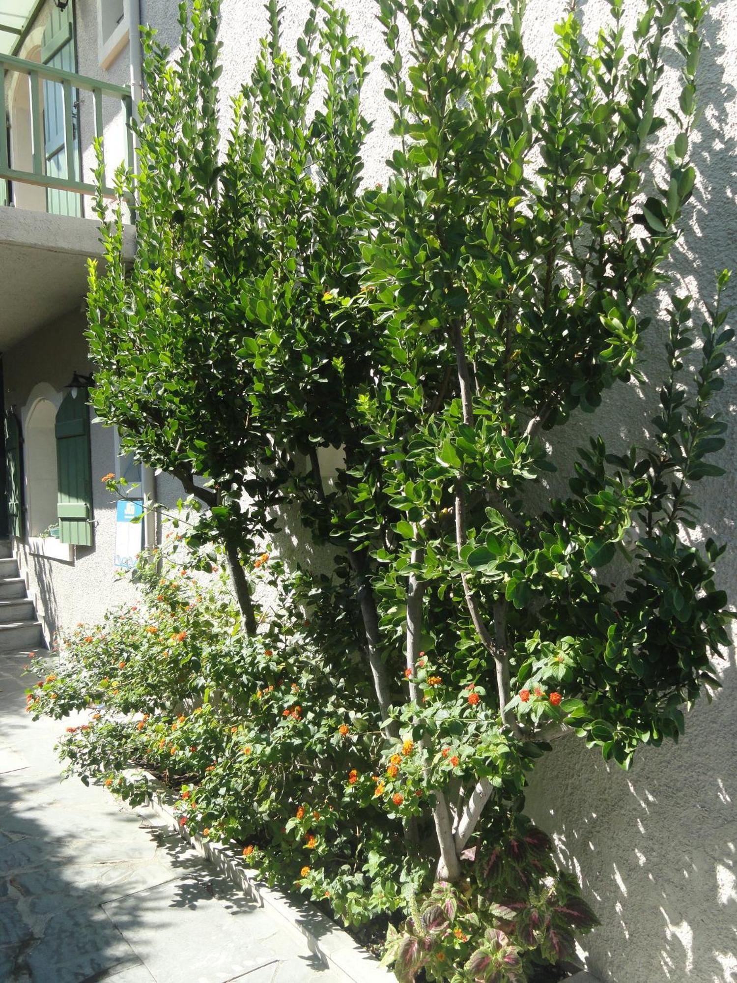 Apartment Bellevue *