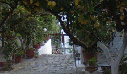 Apartment Lemon House