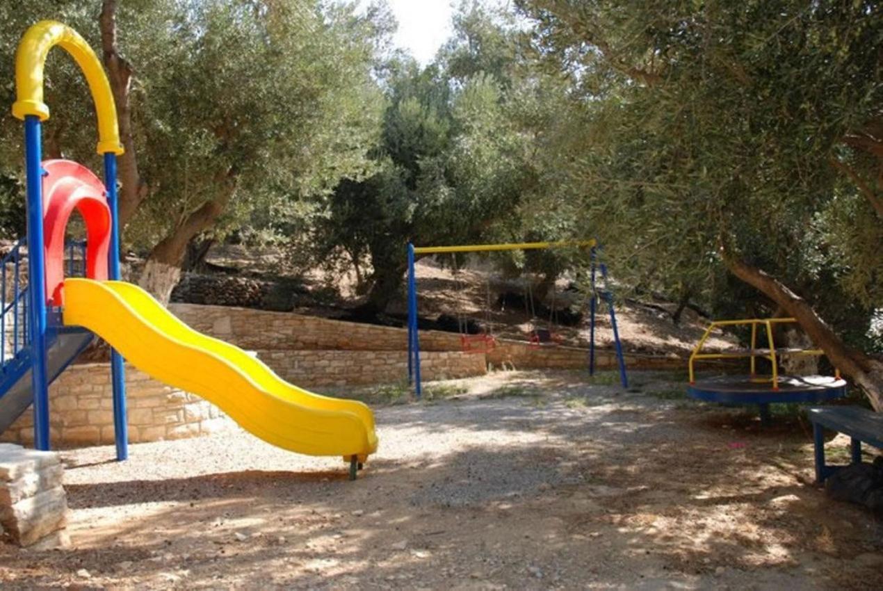 Olive Grove Plakias