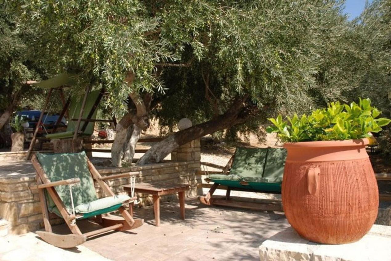 Apartment Olive Grove *
