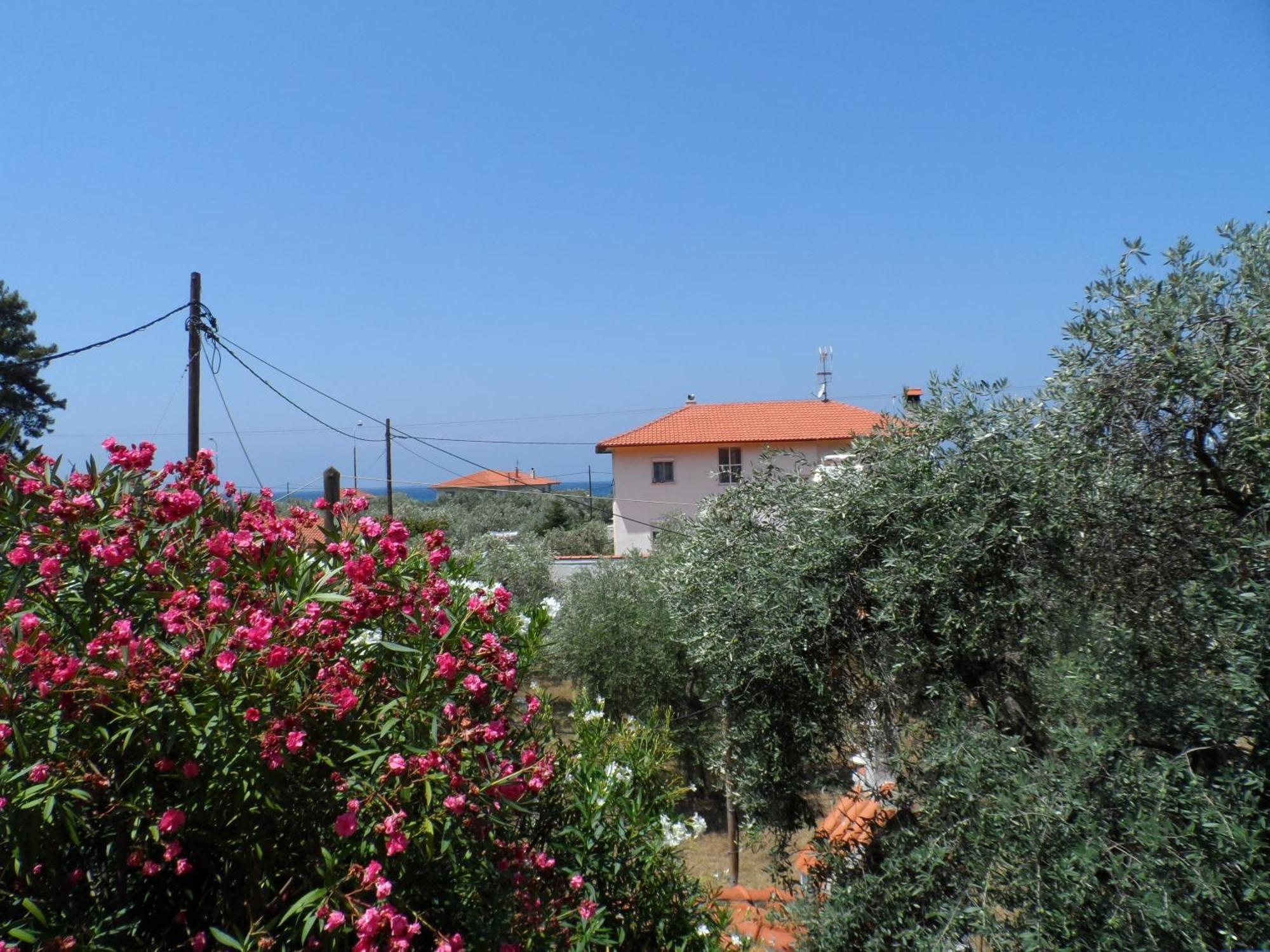 Aparthotel Amarilia 3*