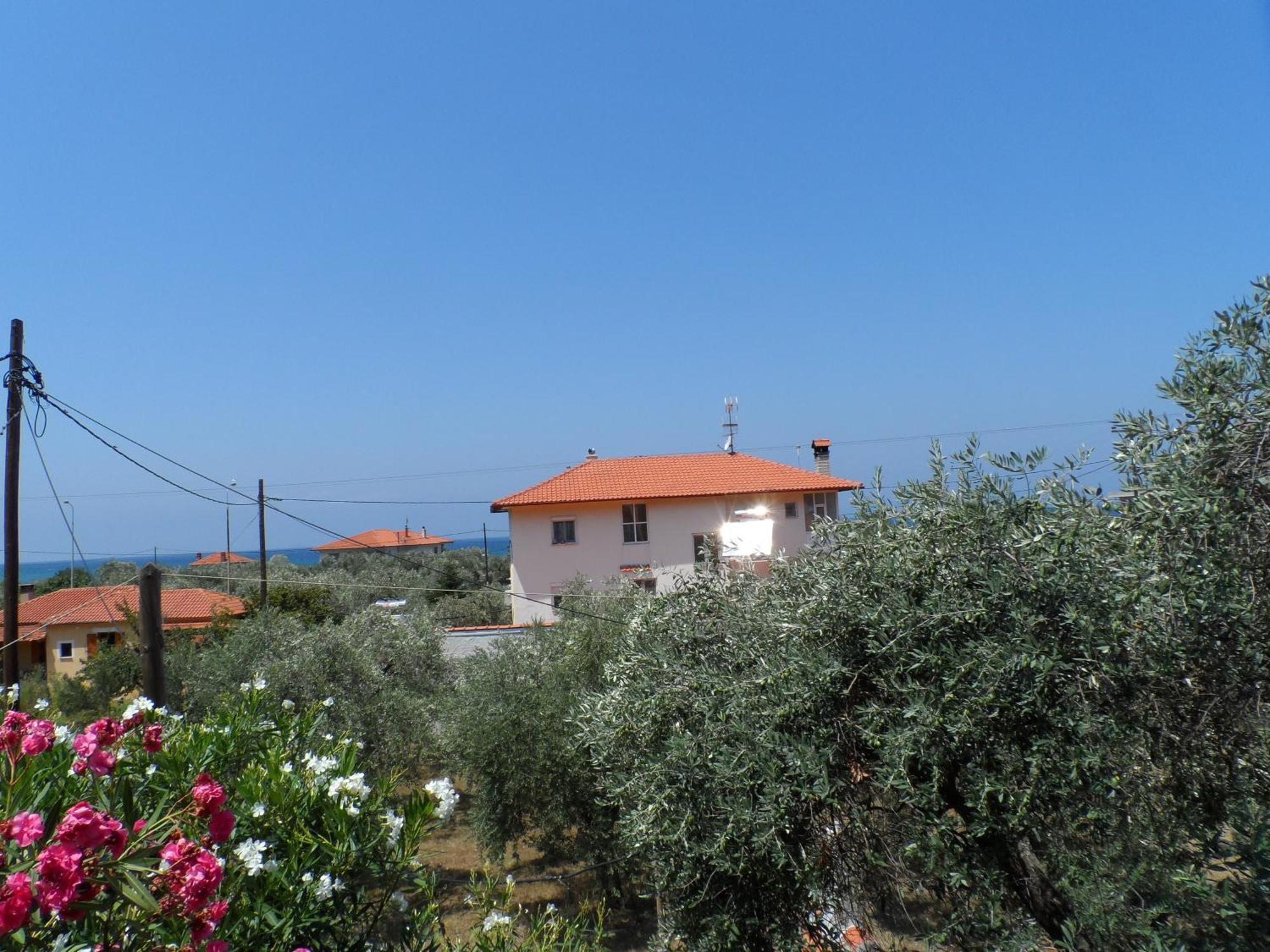 Amarilia Skala Rachoni (Thasos)