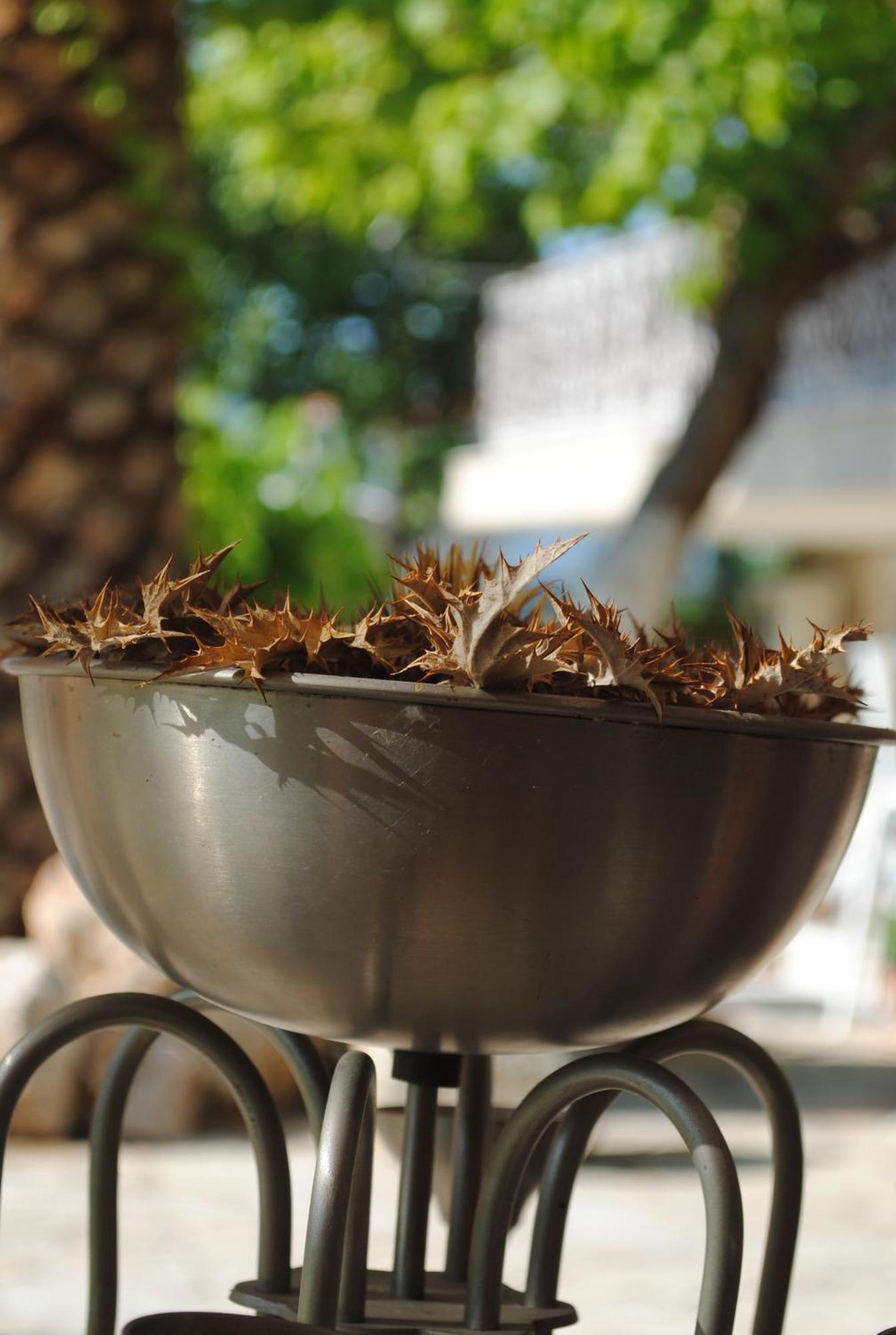 Aparthotel Olga Lounge Lygia (Lefkada)