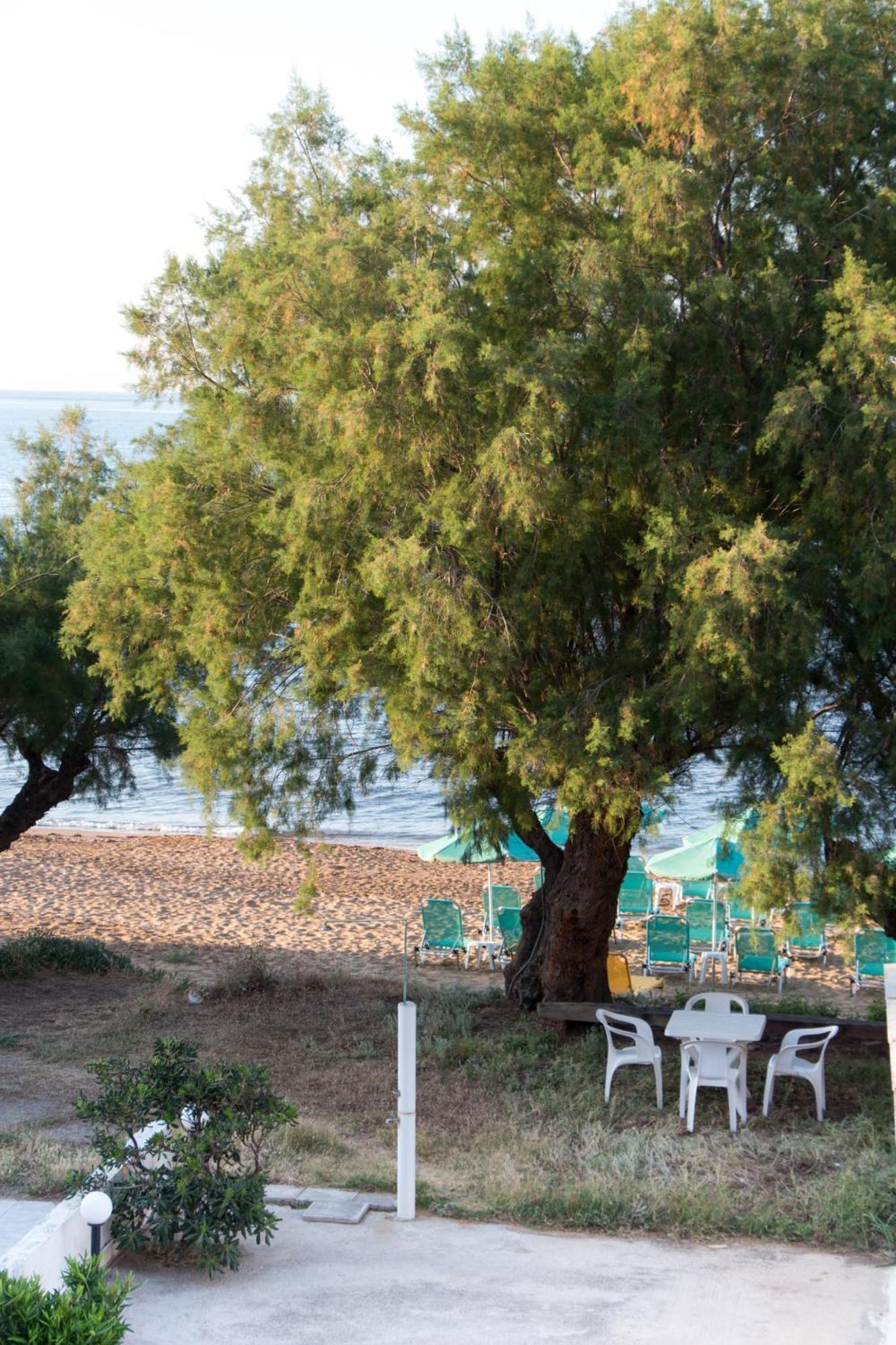 Apartment Papidakis *