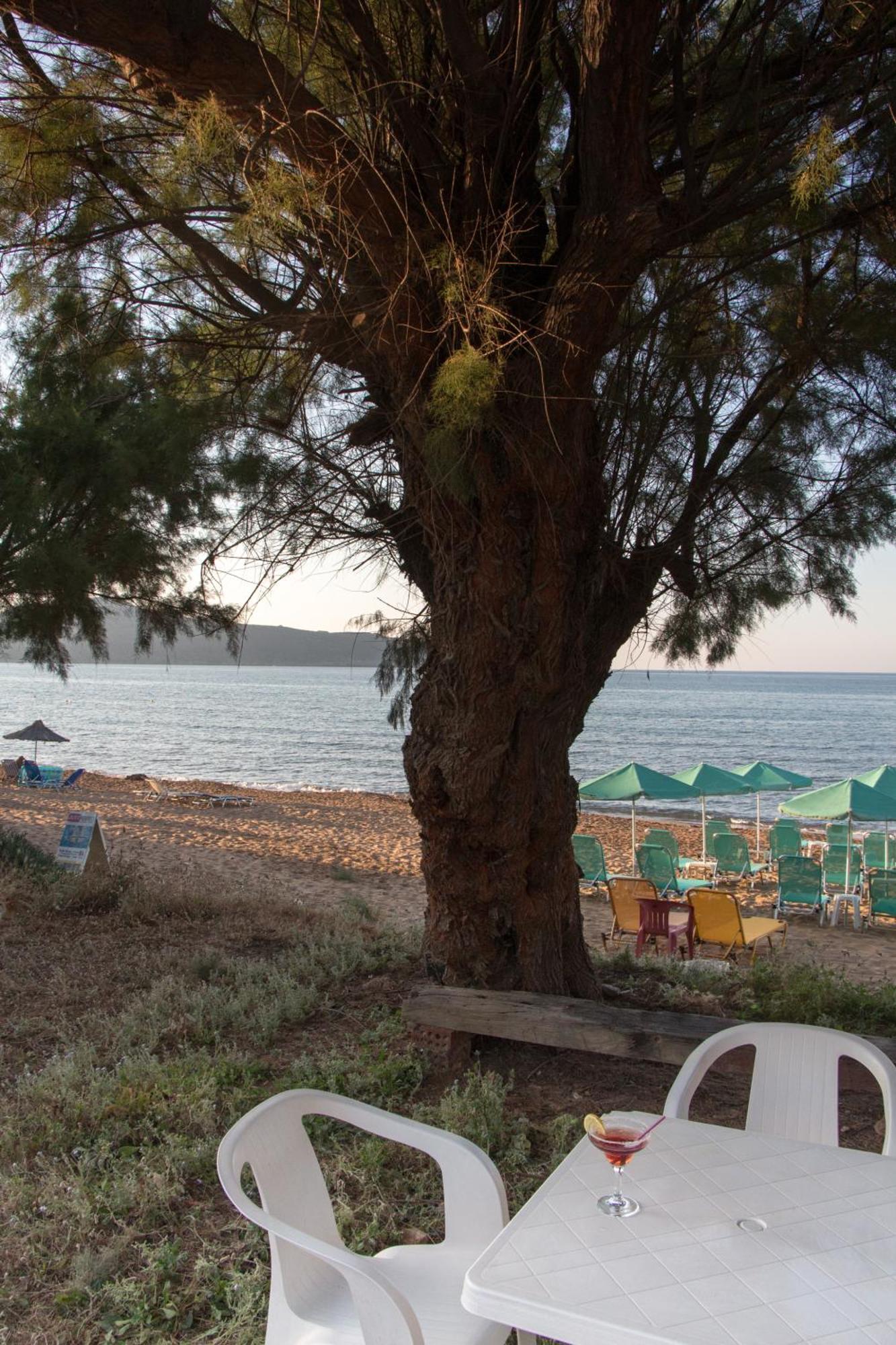 Papidakis Agia Marina (Crete)