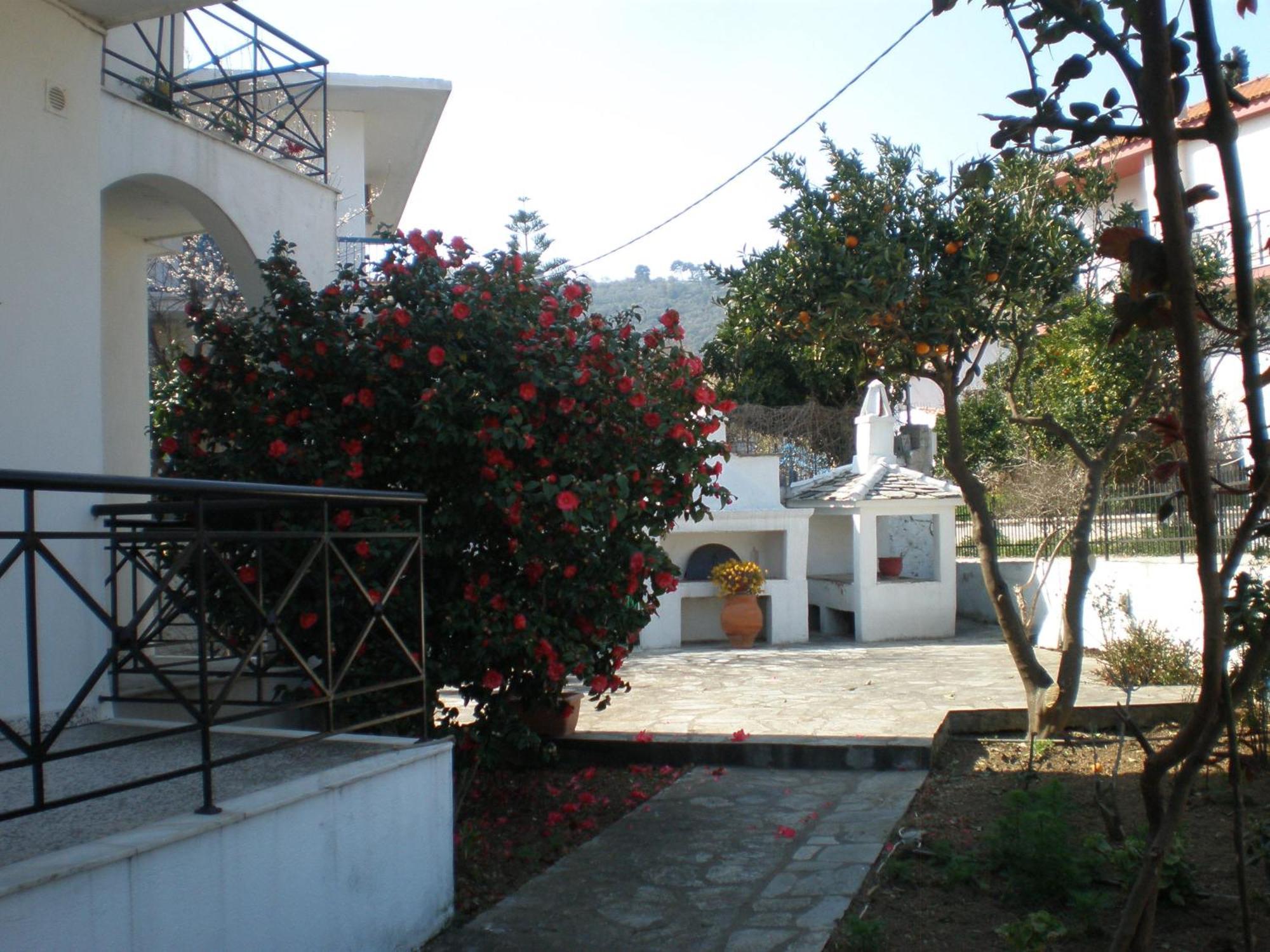 Karagiozos Studios & Skopelos Town