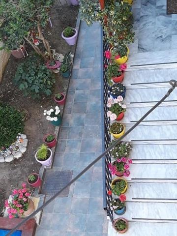 Apartment Margaritas' Agios Gordios (Corfu)