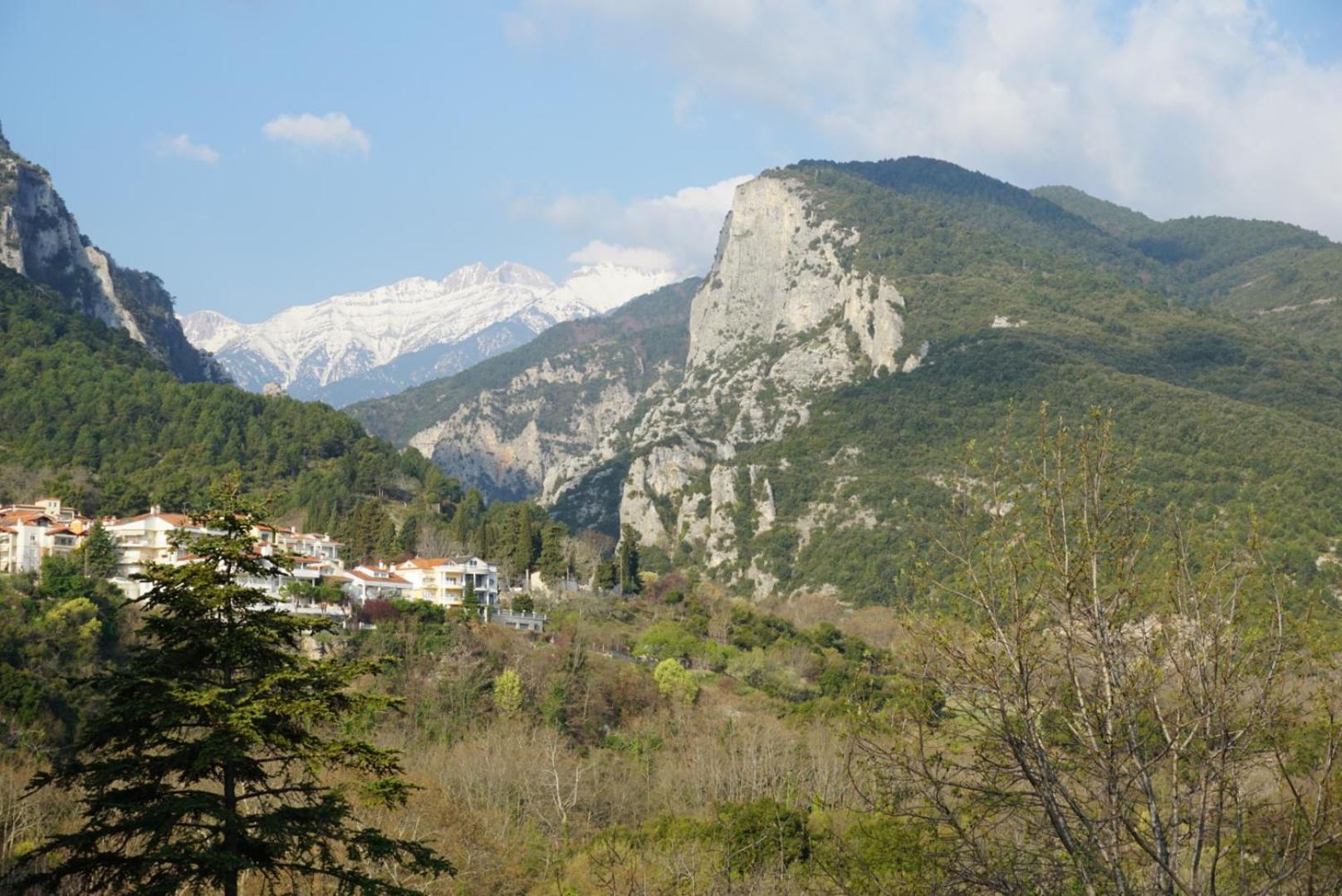 Guest house ενοικιαζόμενα ενιπεύς- Enipeas *