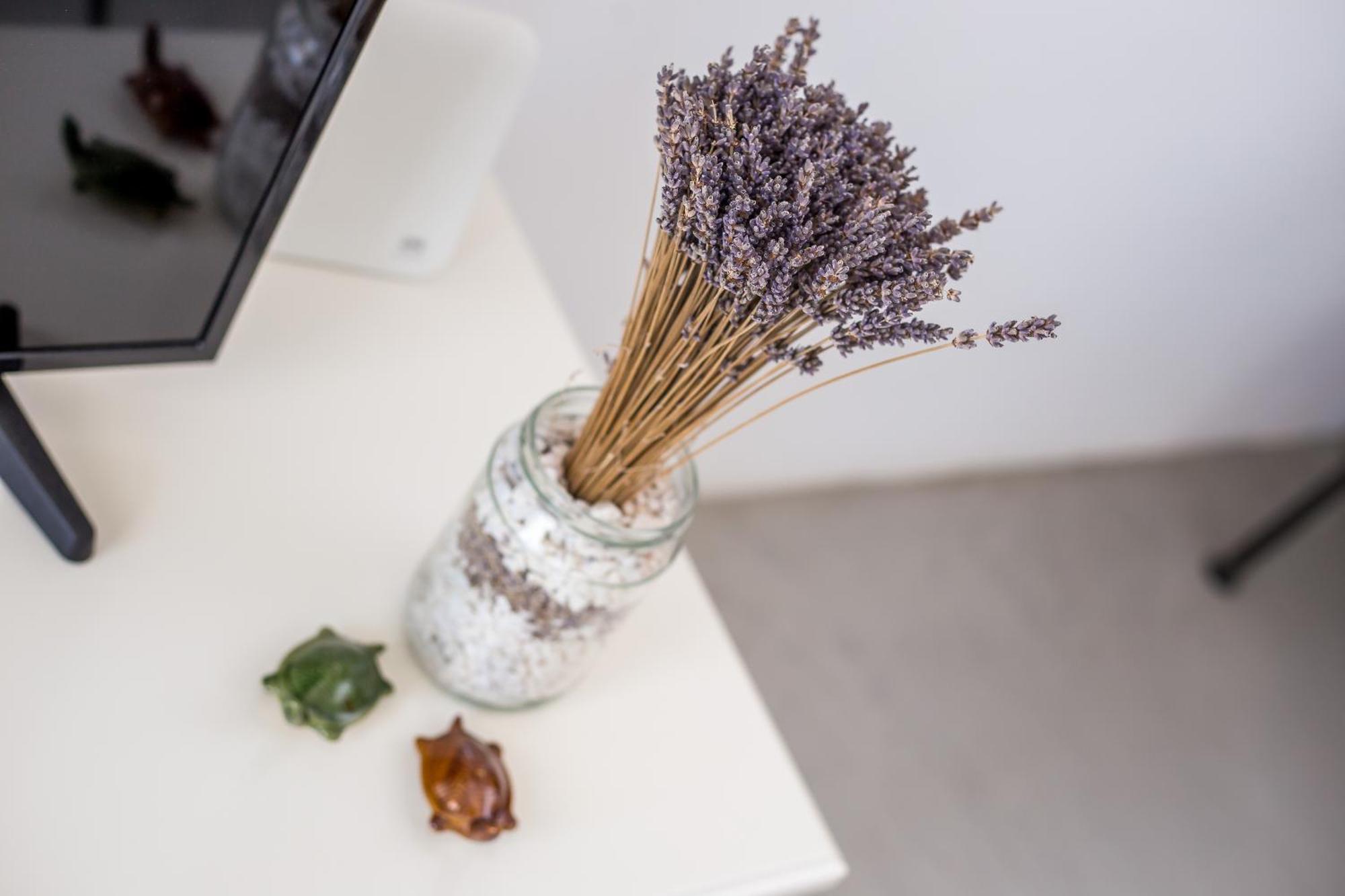 Apartment Euphoria Luxury