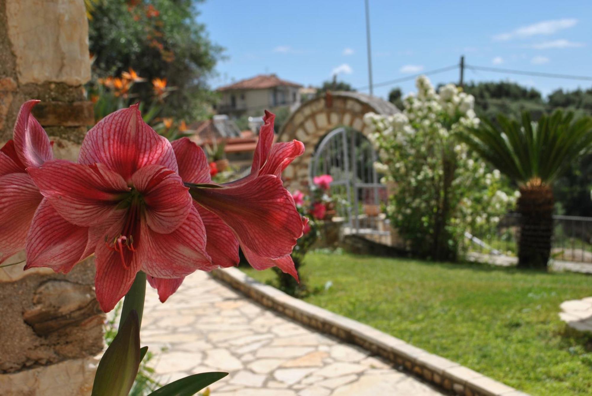 Apartment Amaryllis House