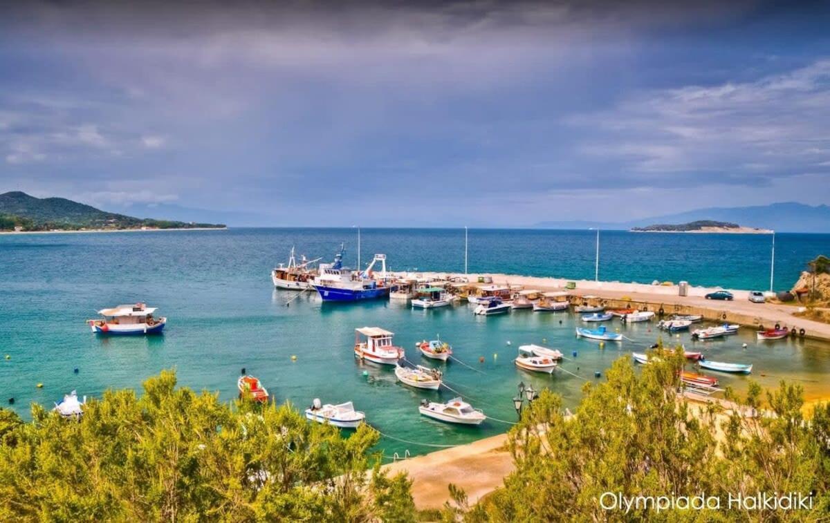 Semeli Ancient Stagira 4 Apts Chalkidiki