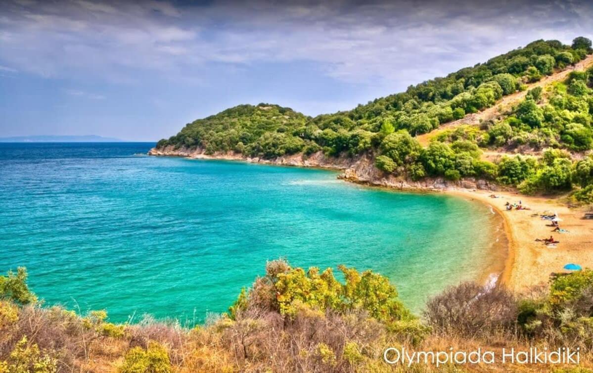 Semeli Ancient Stagira 4 Apts Chalkidiki