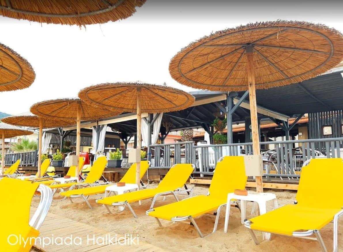 Apartment Semeli Ancient Stagira 4 Apts Chalkidiki Olympiada