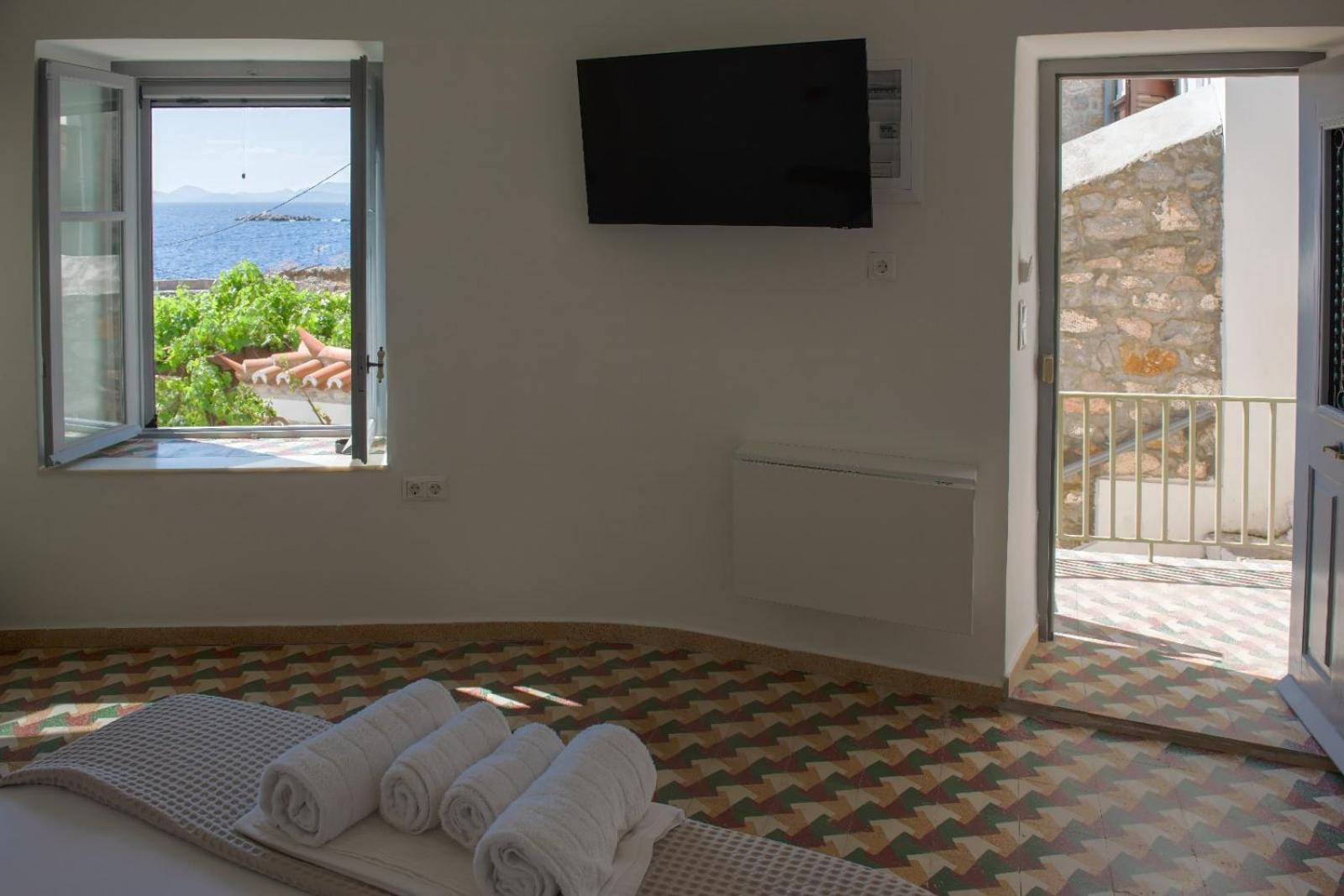 Apartment Blue Coral Hydra *