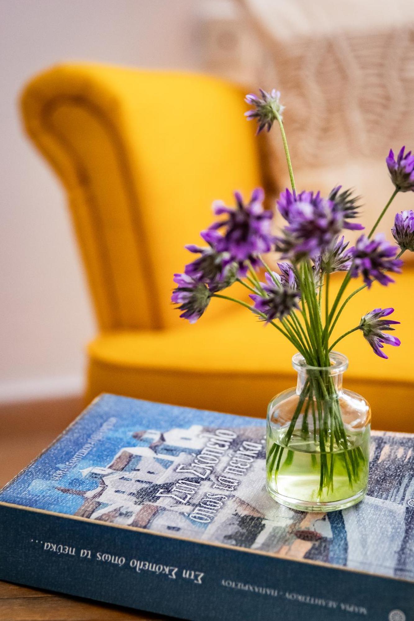 Holiday home Siraino - Ktima Skopelos Town