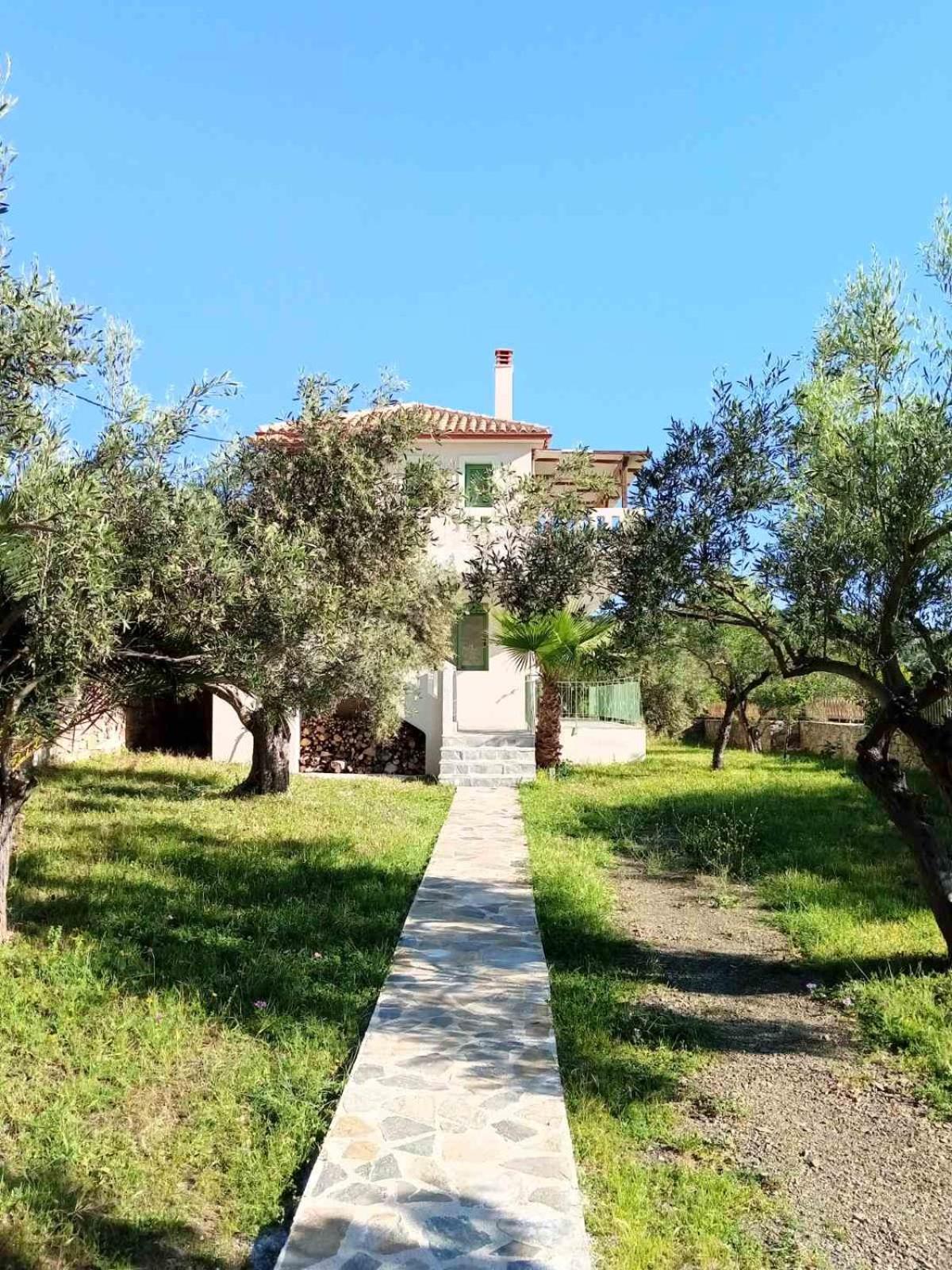Boucamvillia's Luxury House