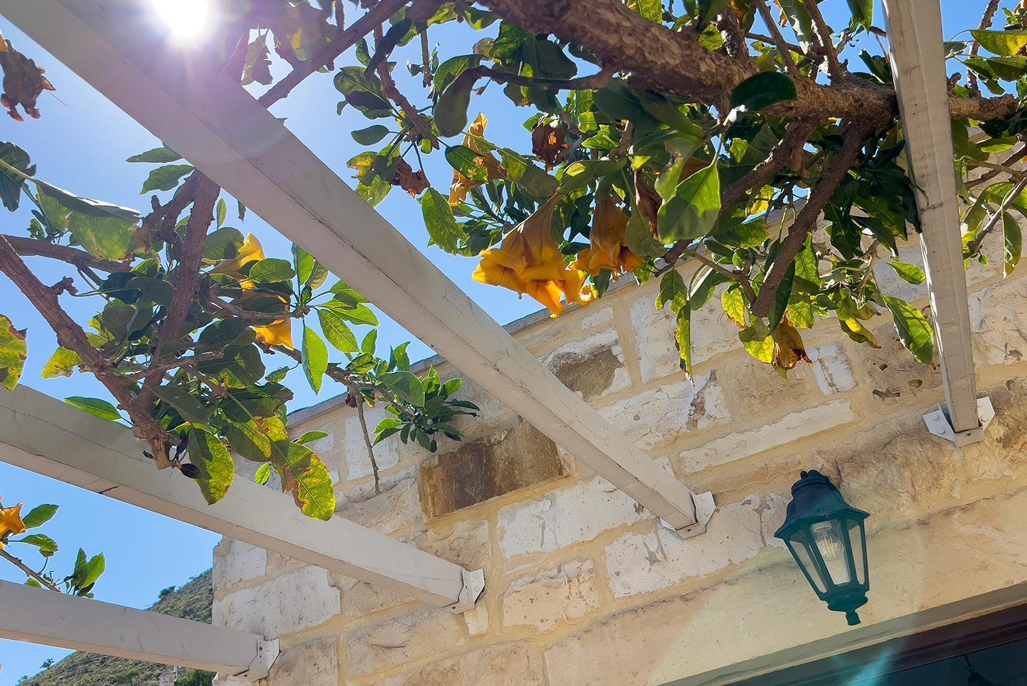 Villa Euterpe Kokkino Chorion St George Retreat By Apokoronas-villas Kokkino Chorio