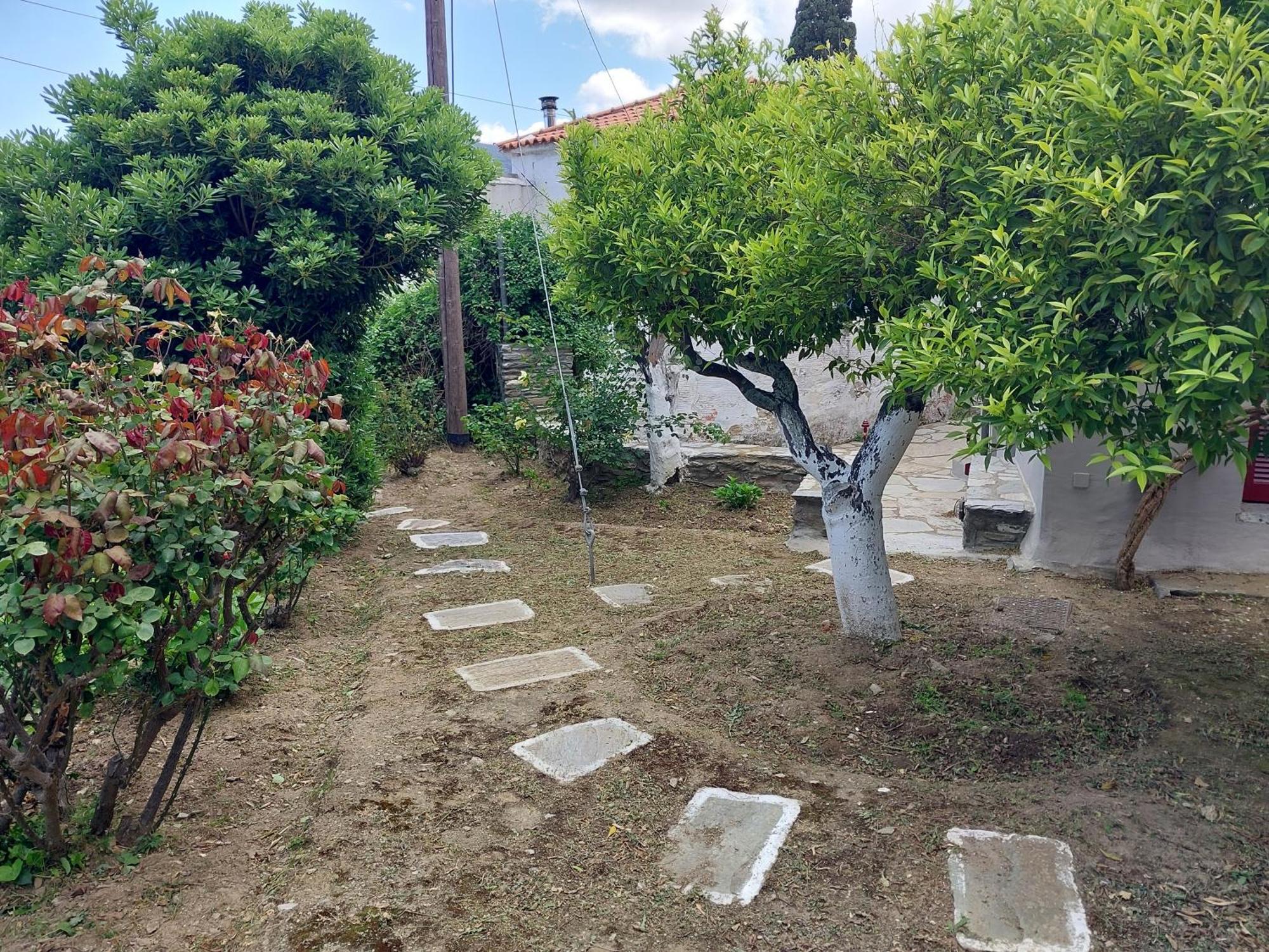 Villa L G K Mansion Est.1920 Andros Town