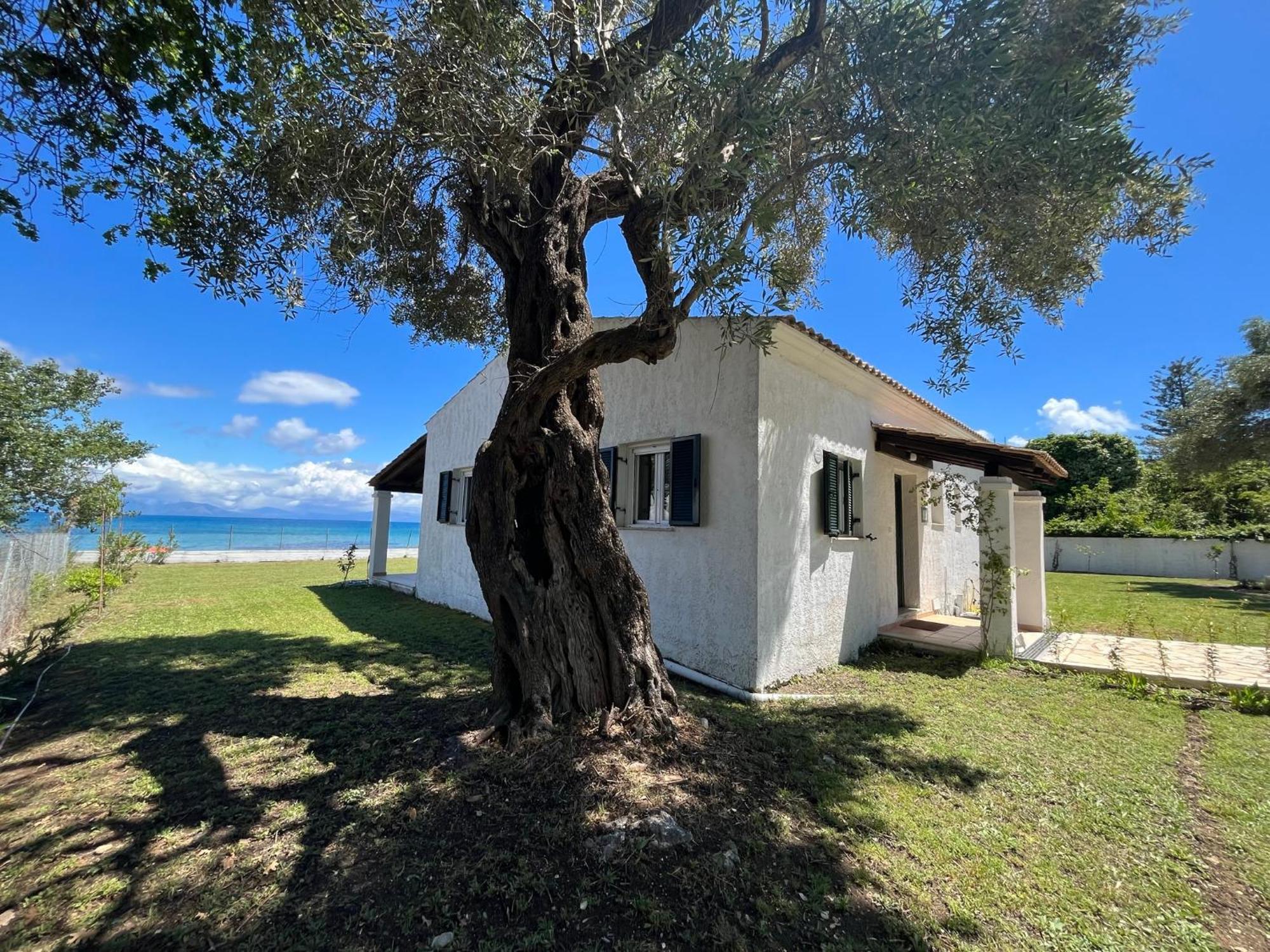 Beachfront With Garden - Valentine Corfu Mesongi