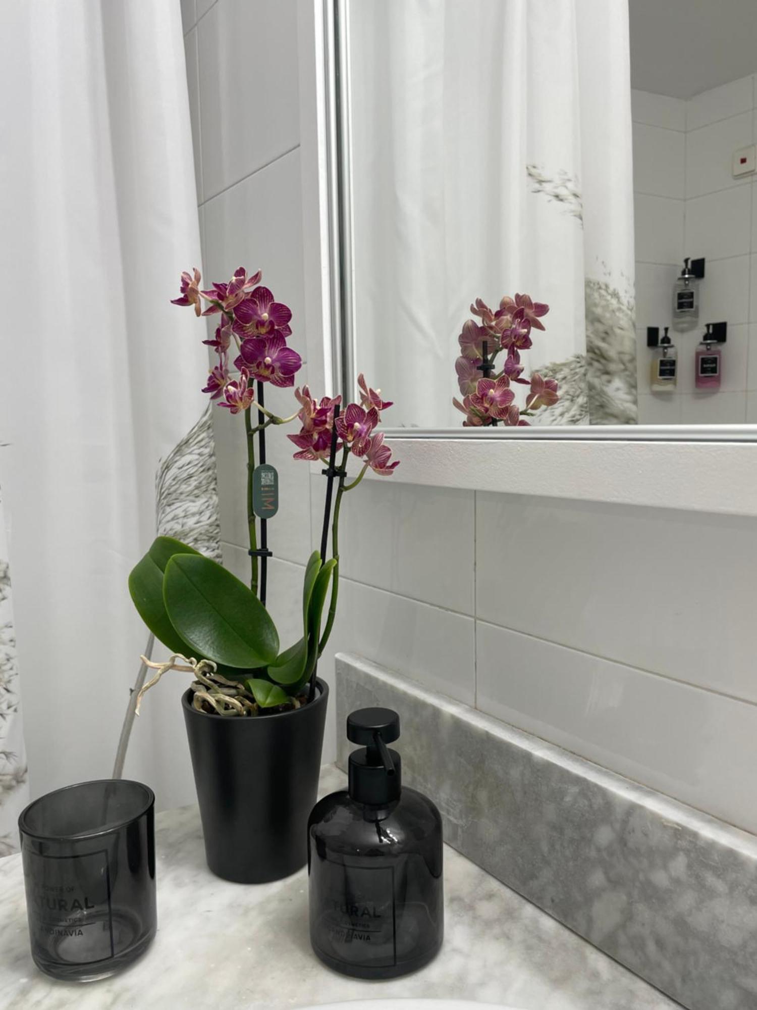Apartment Summer Diamond Kremasti (Rhodes)