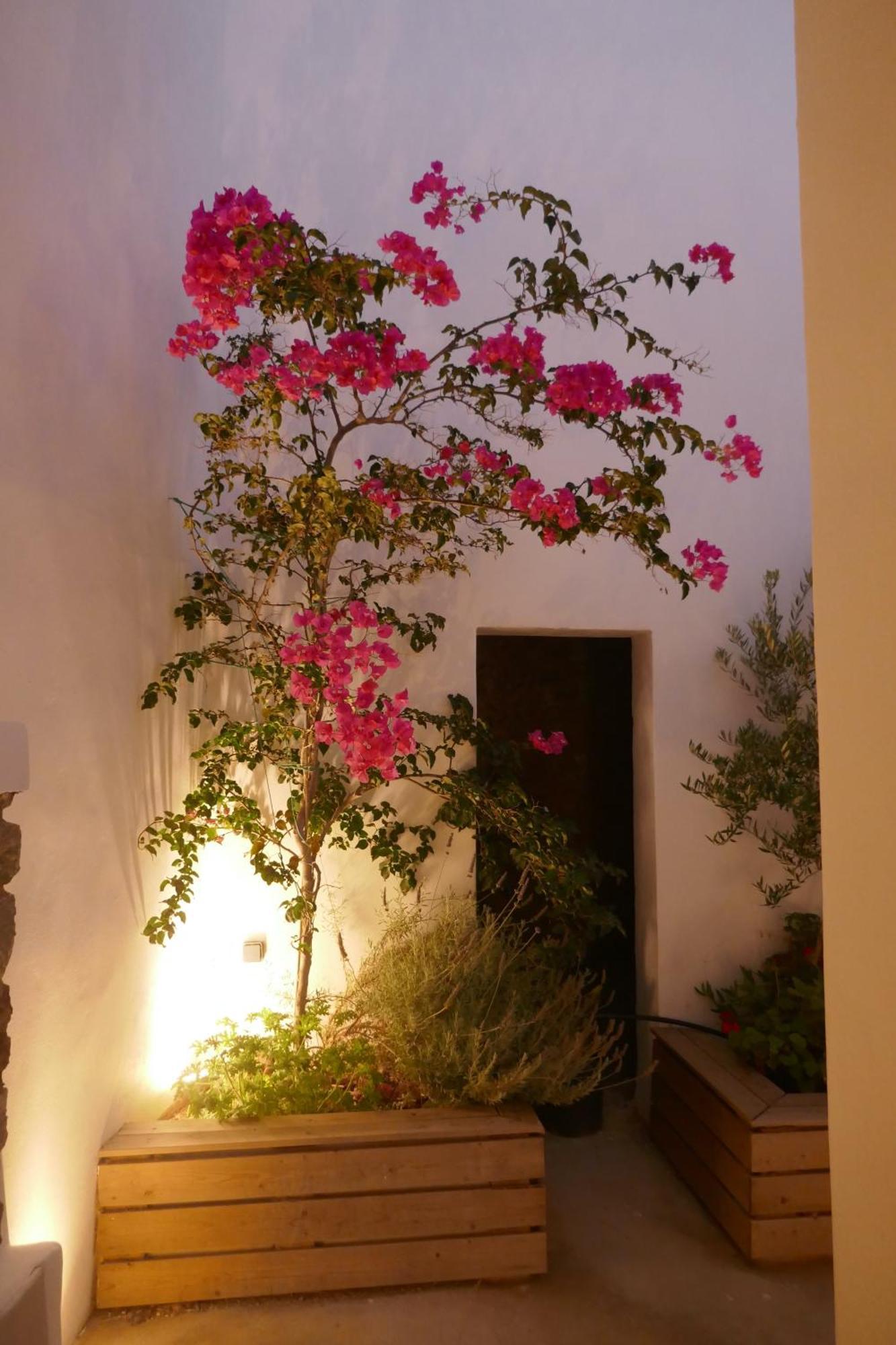 Villa Dream Cave *