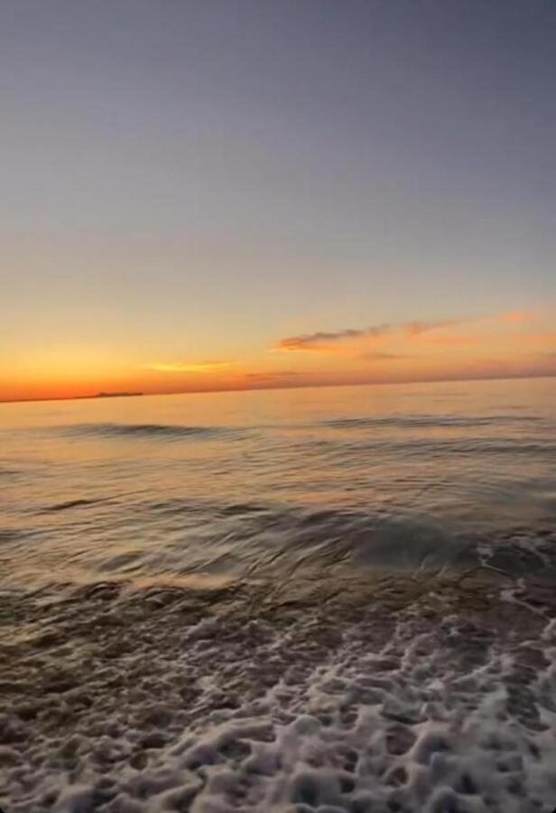 Sea Harmony