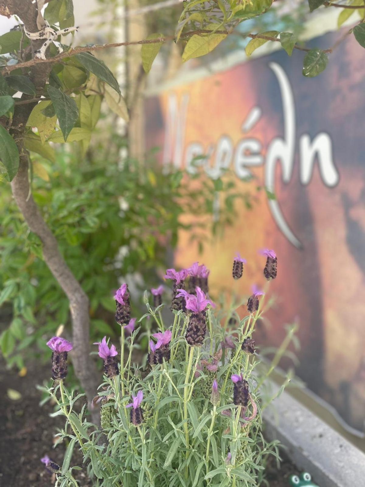 Nepheli Hotel 2*
