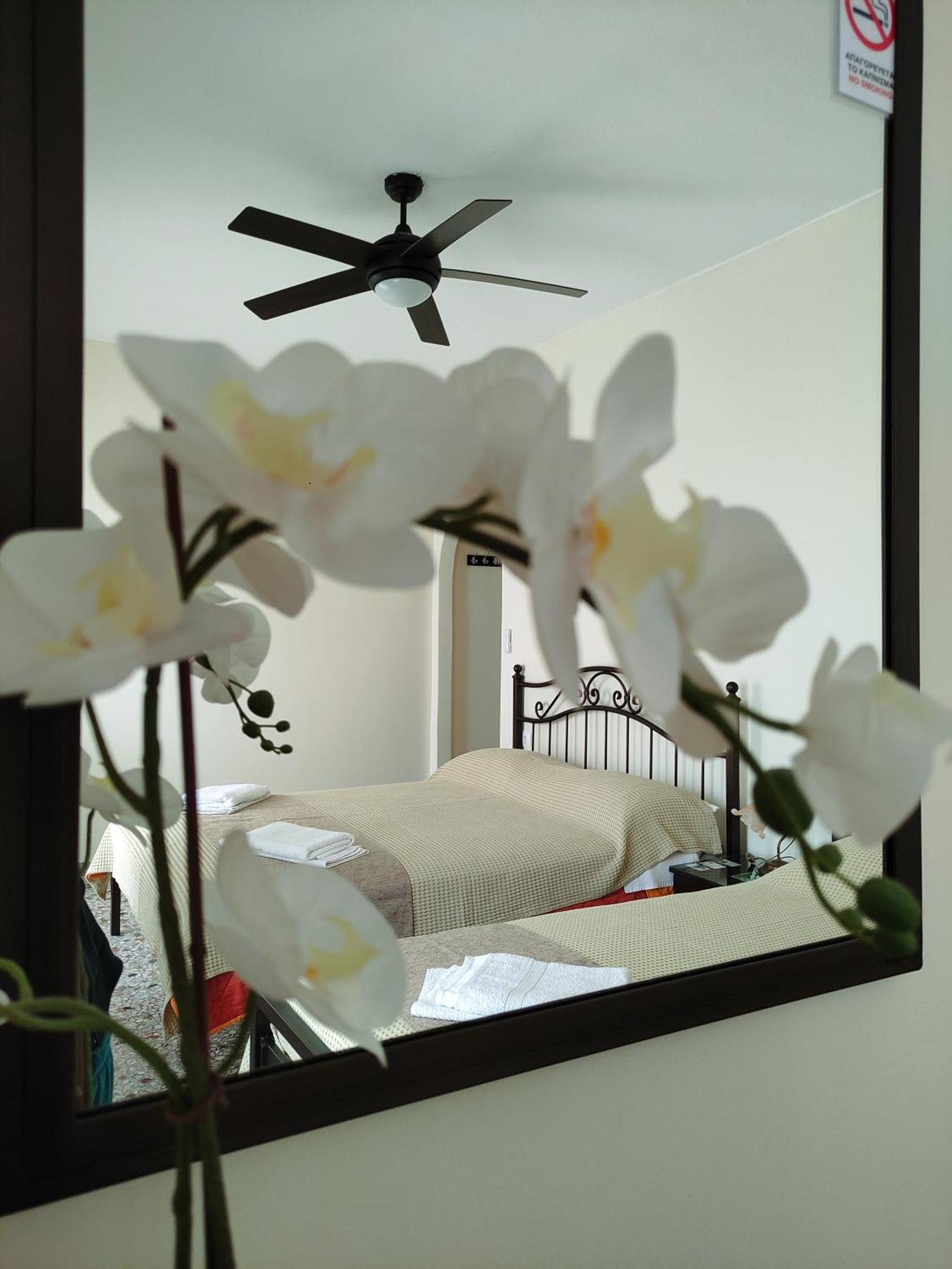 Paradise Garden Paros Apartment *