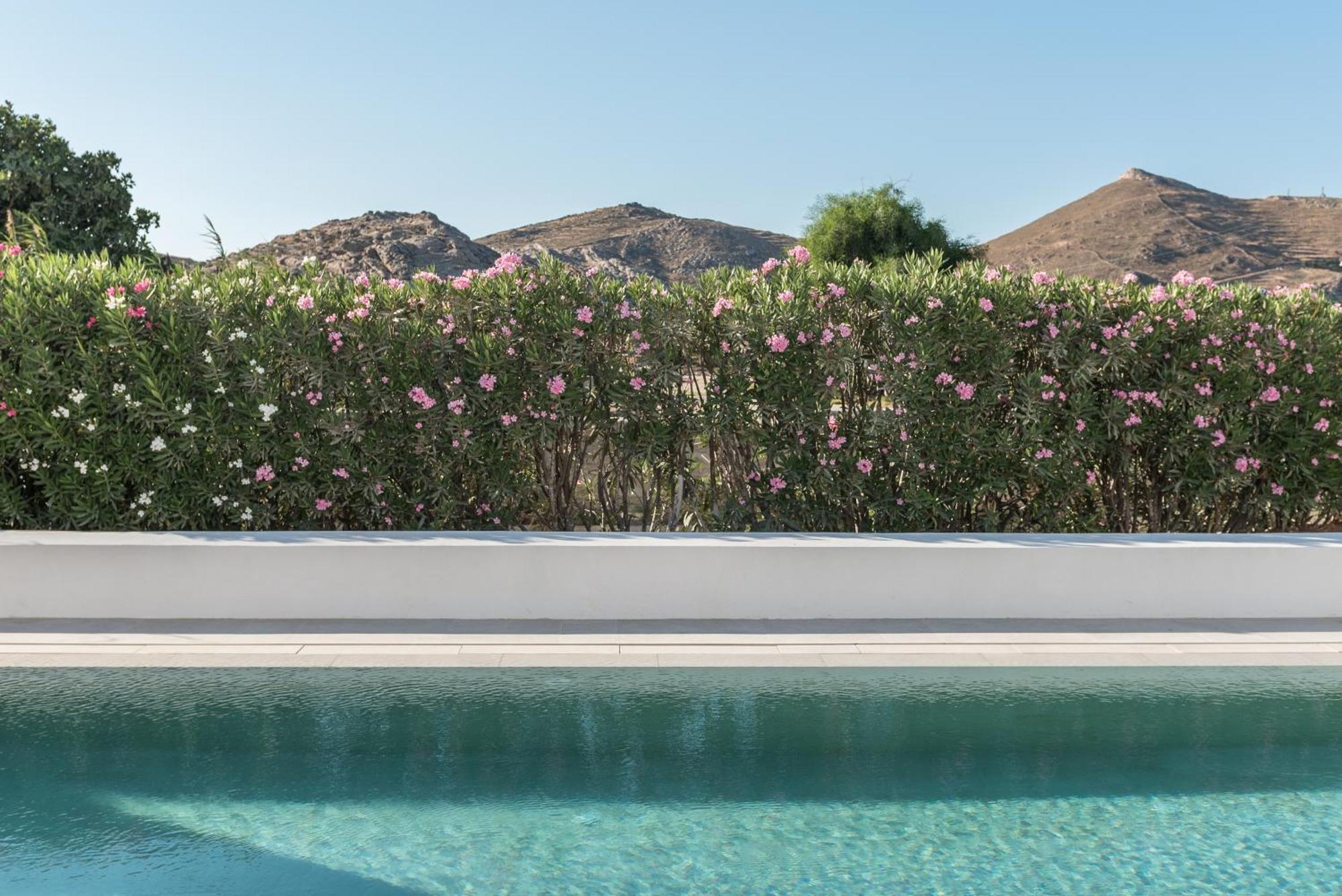 Parilio, A Member Of Design Naousa (Paros)
