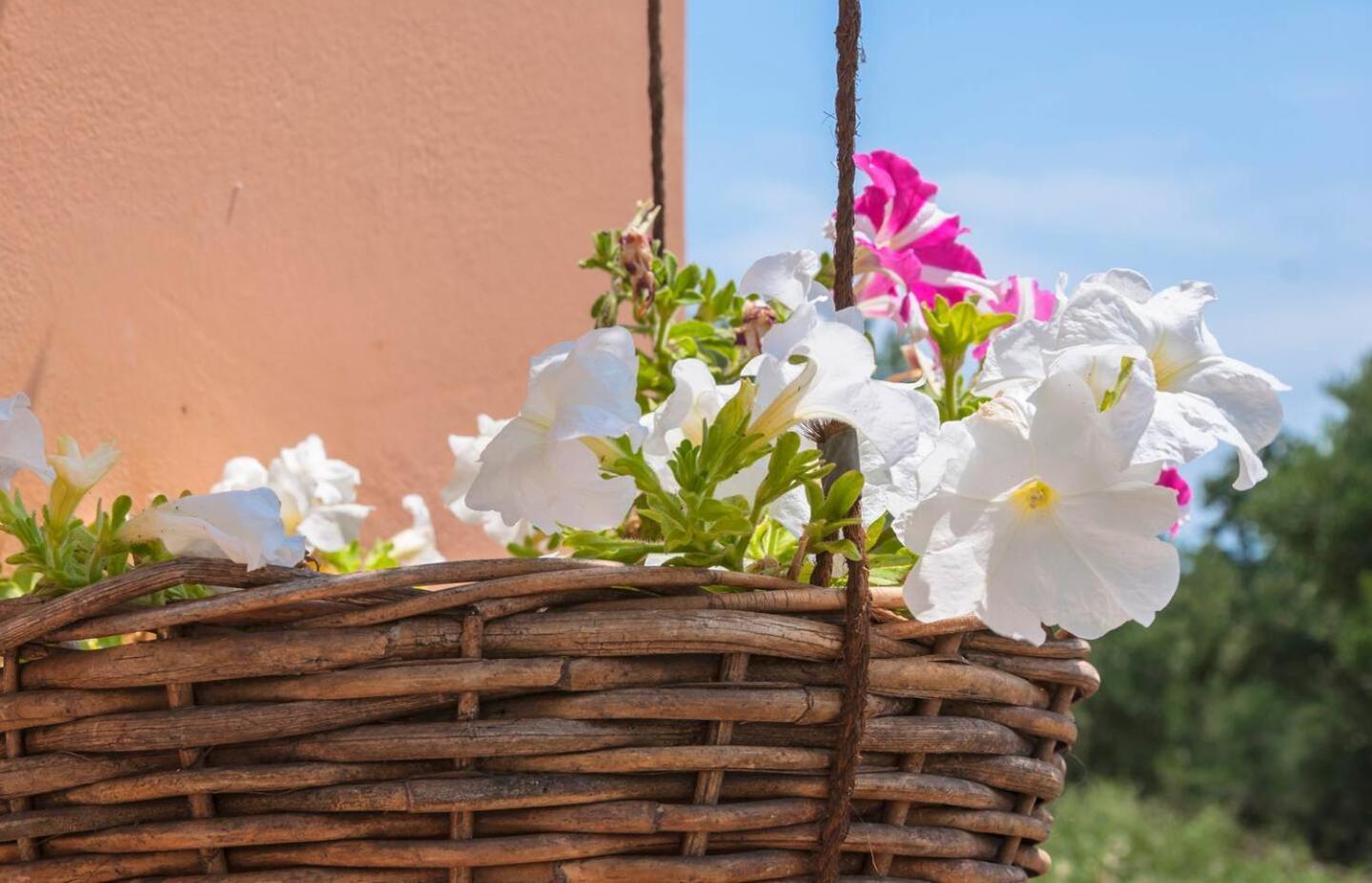 Magea-thalassa,top Floor Cretan With Views Apartment Tavronitis (Crete)