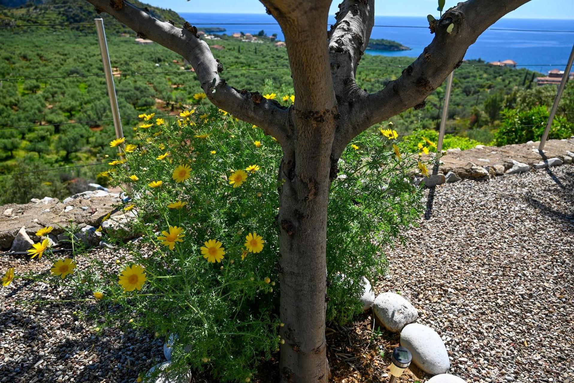 Villa Athina's Stone House In *