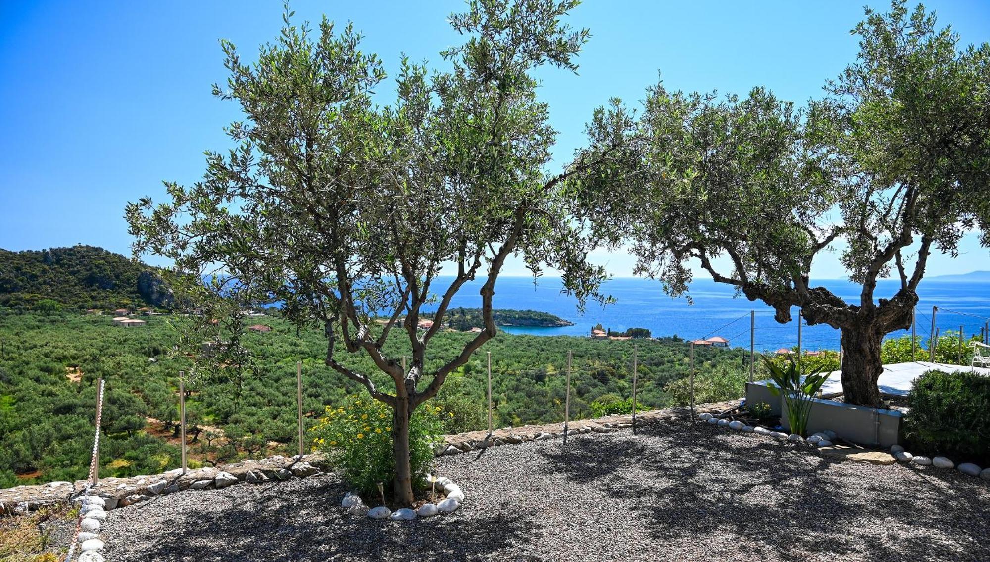Athina's Stone House In * Kardamyli