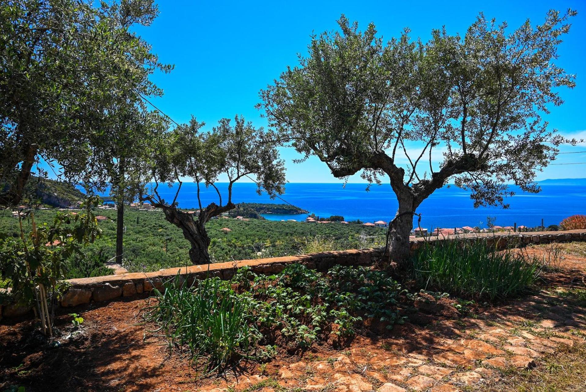 Athina's Stone House In Villa Kardamyli