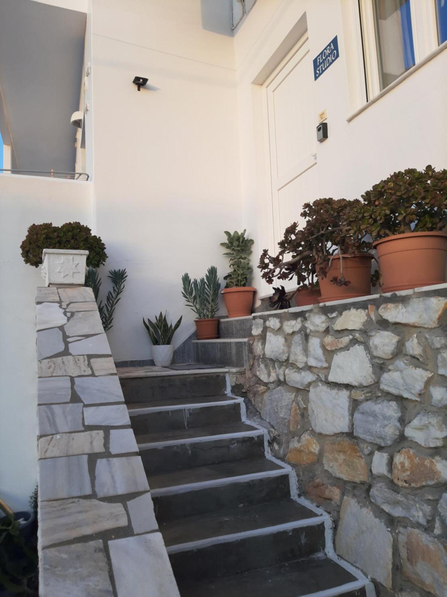 Flora In Paros *