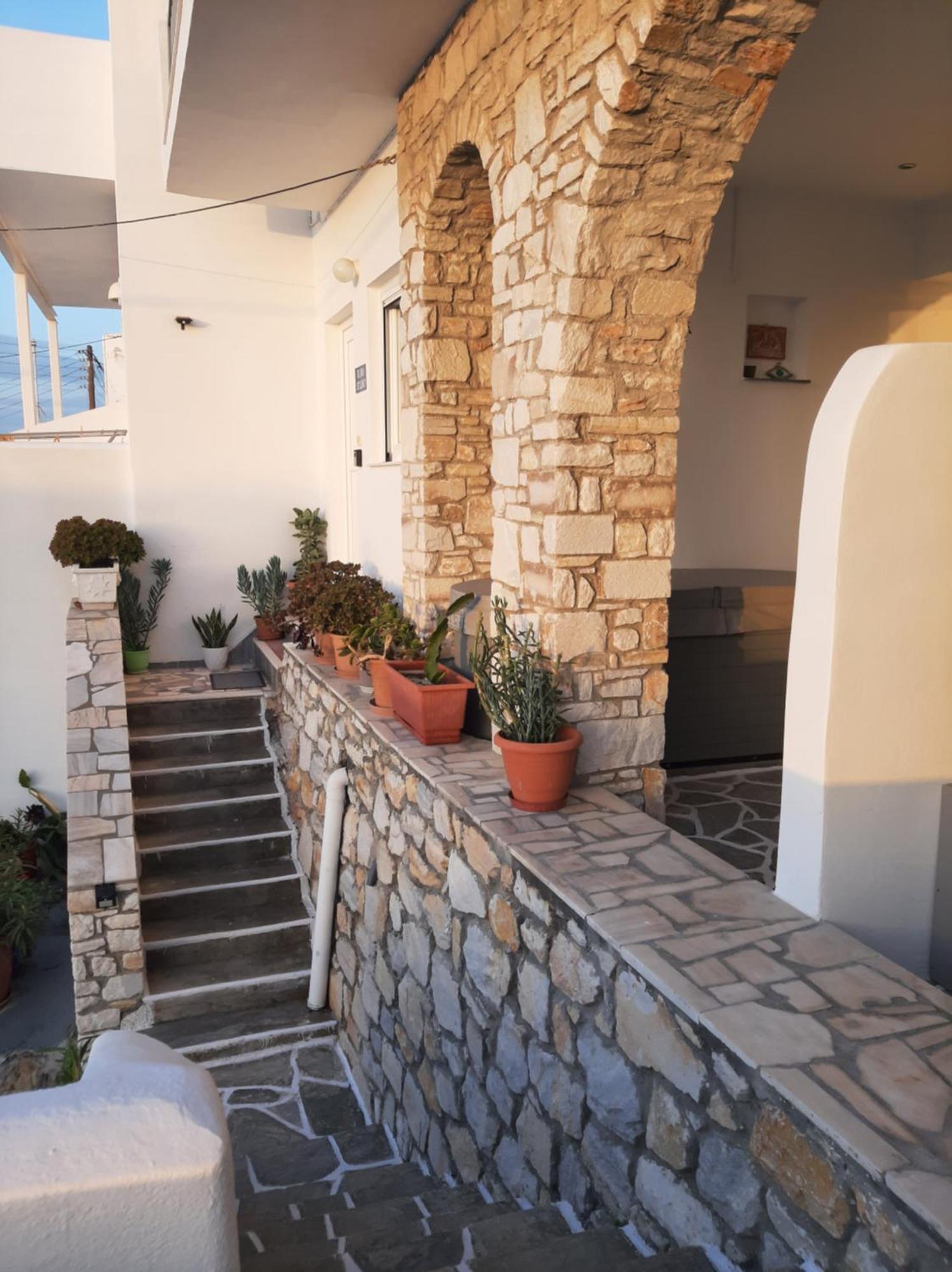 Flora In Paros Naousa (Paros)