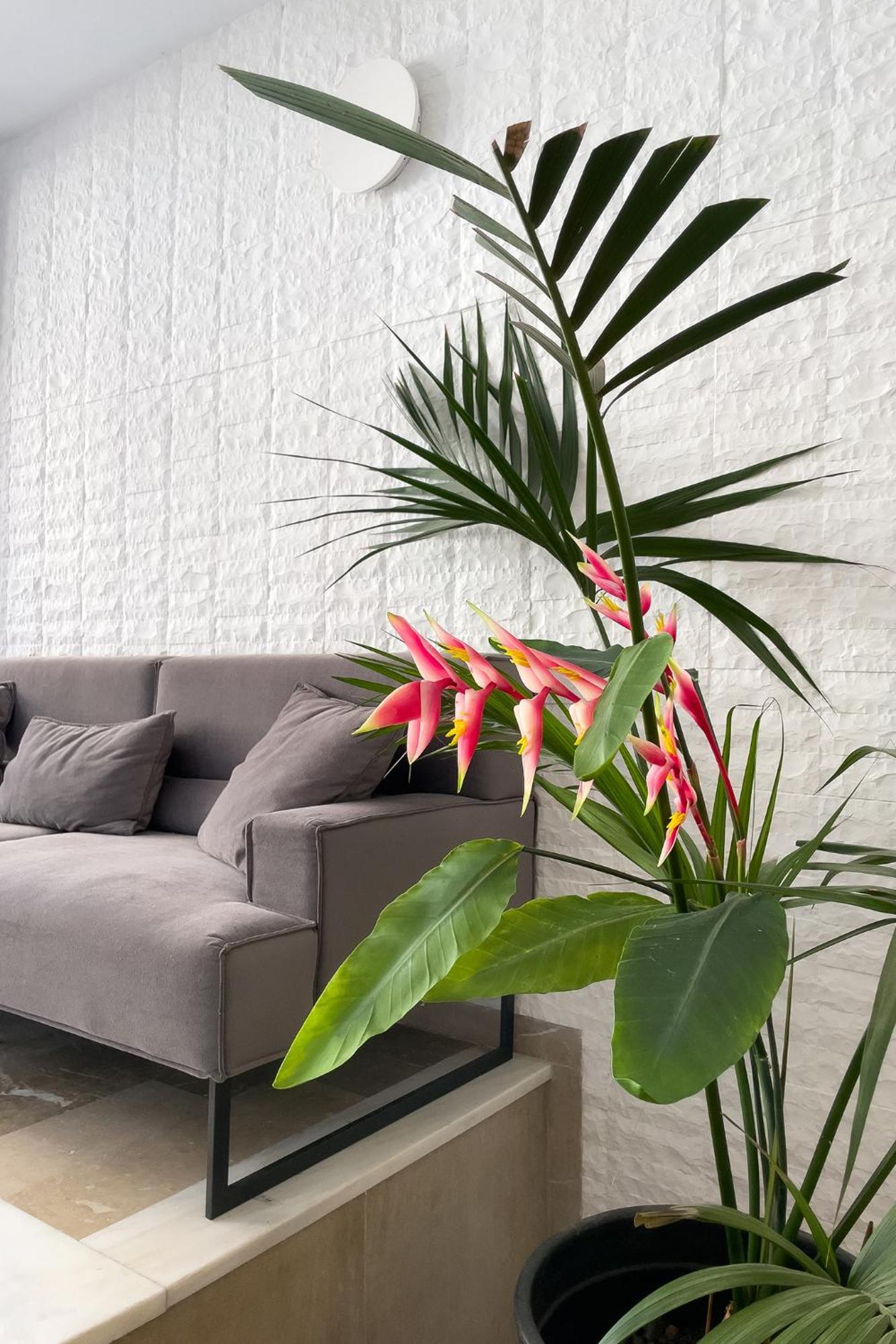 Aonia Luxurious Modern Boutique Apartment *