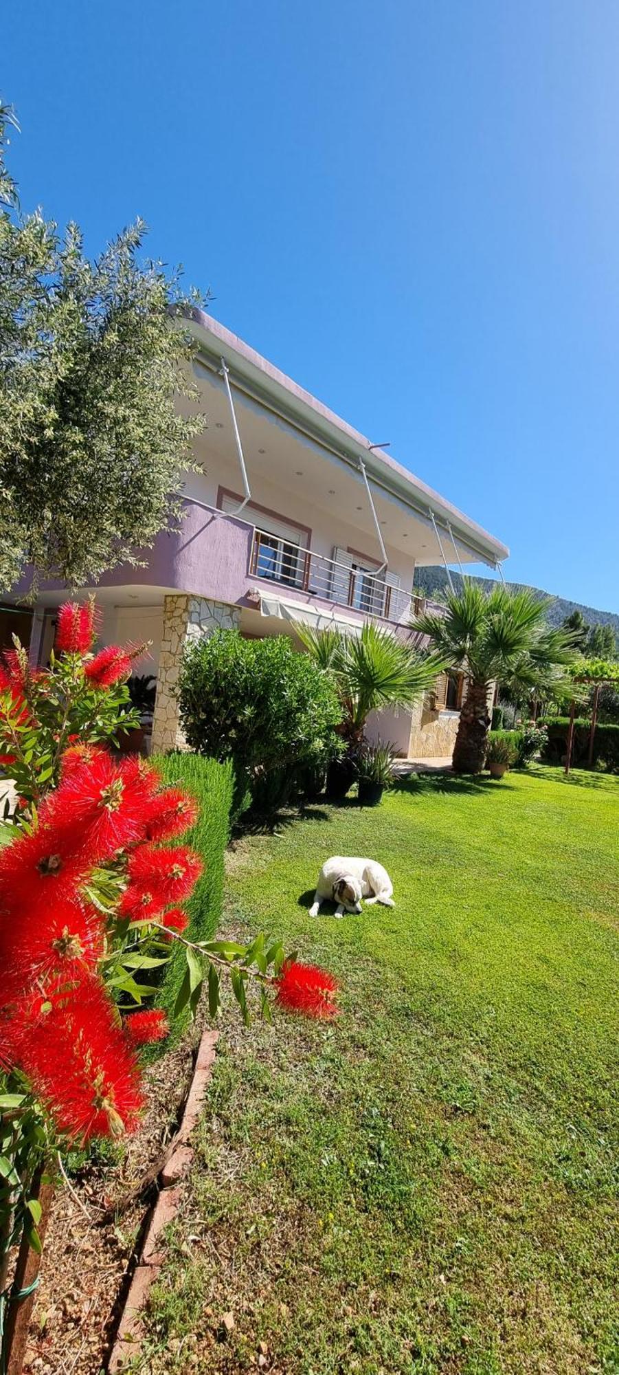 Holiday home Relaxing Country House Porto Vito Aigosthena
