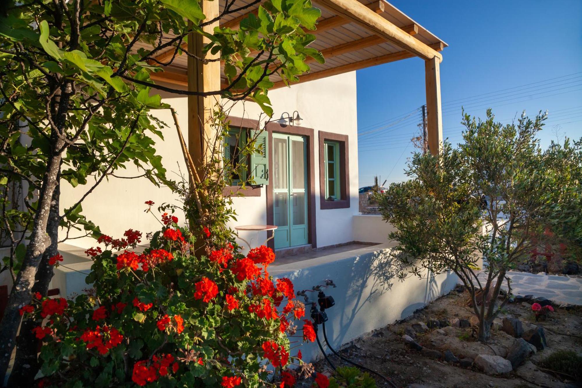 Holiday home Olive Leaf
