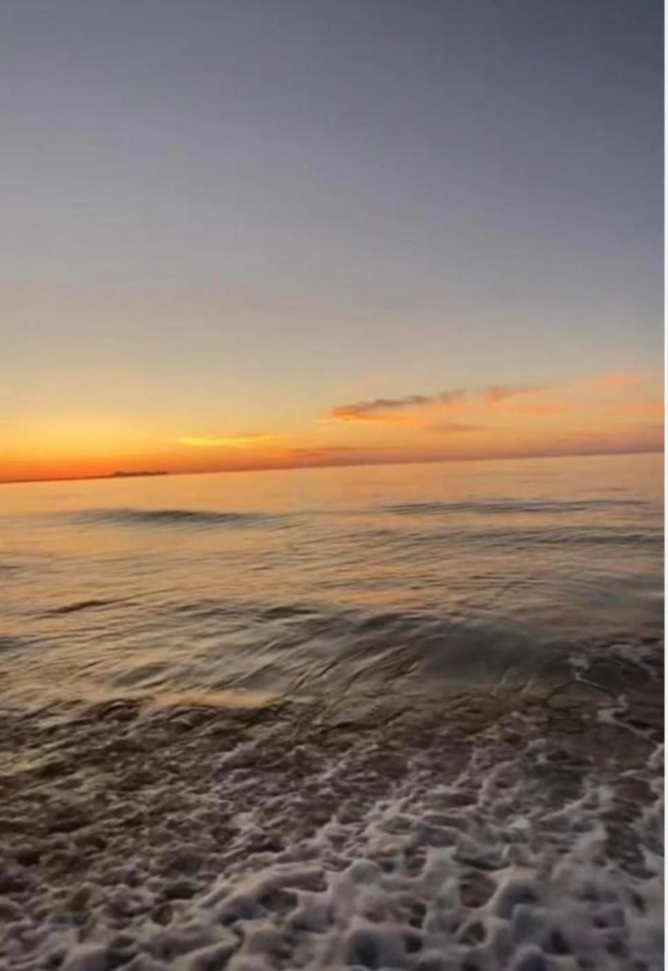 Sea Harmony *