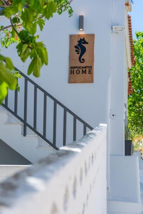 Hippocampus Villa Kampos Marathokampou